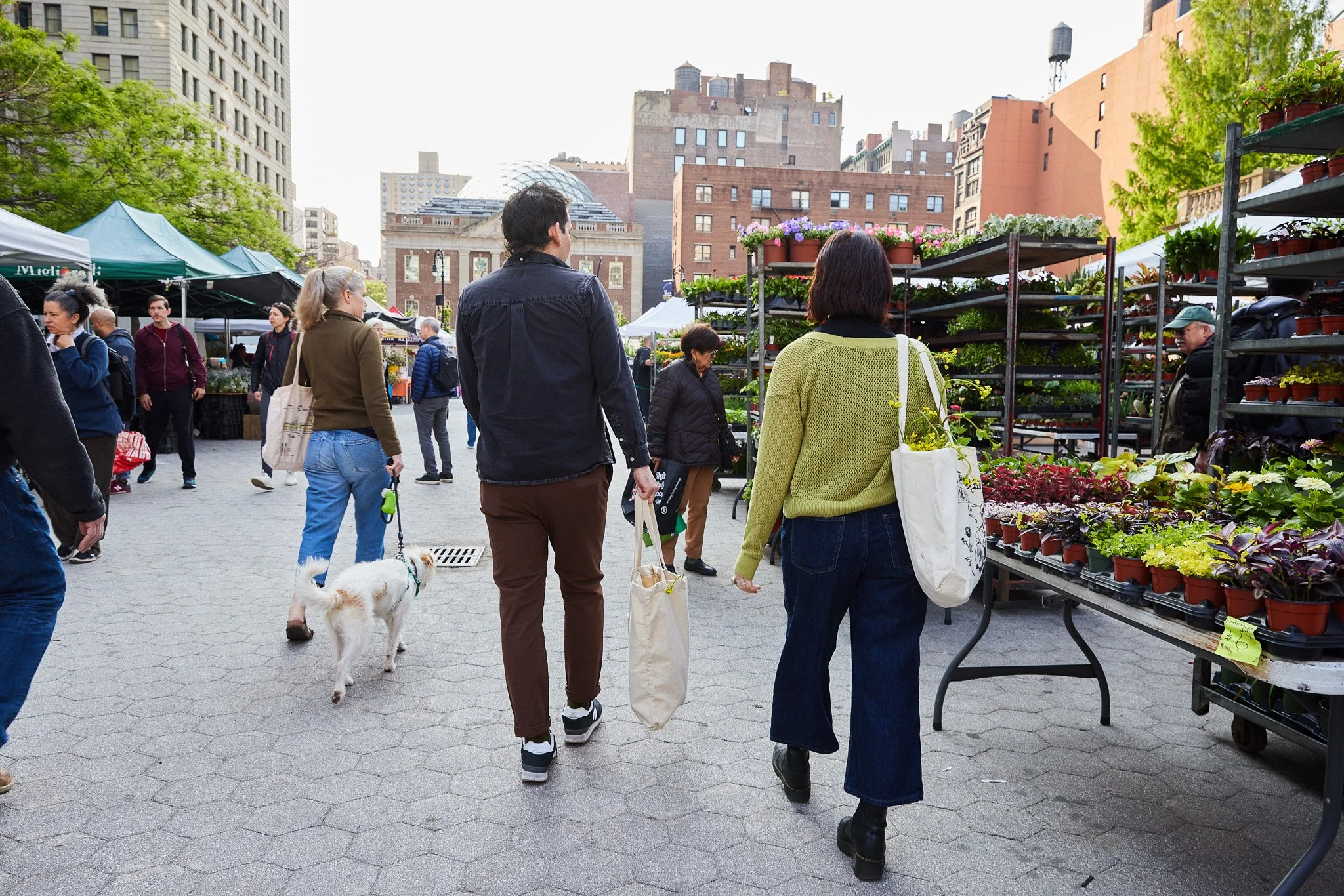 AmexFX_NYC_YellowRose_UnionSquareFarmersMarket_102.jpg