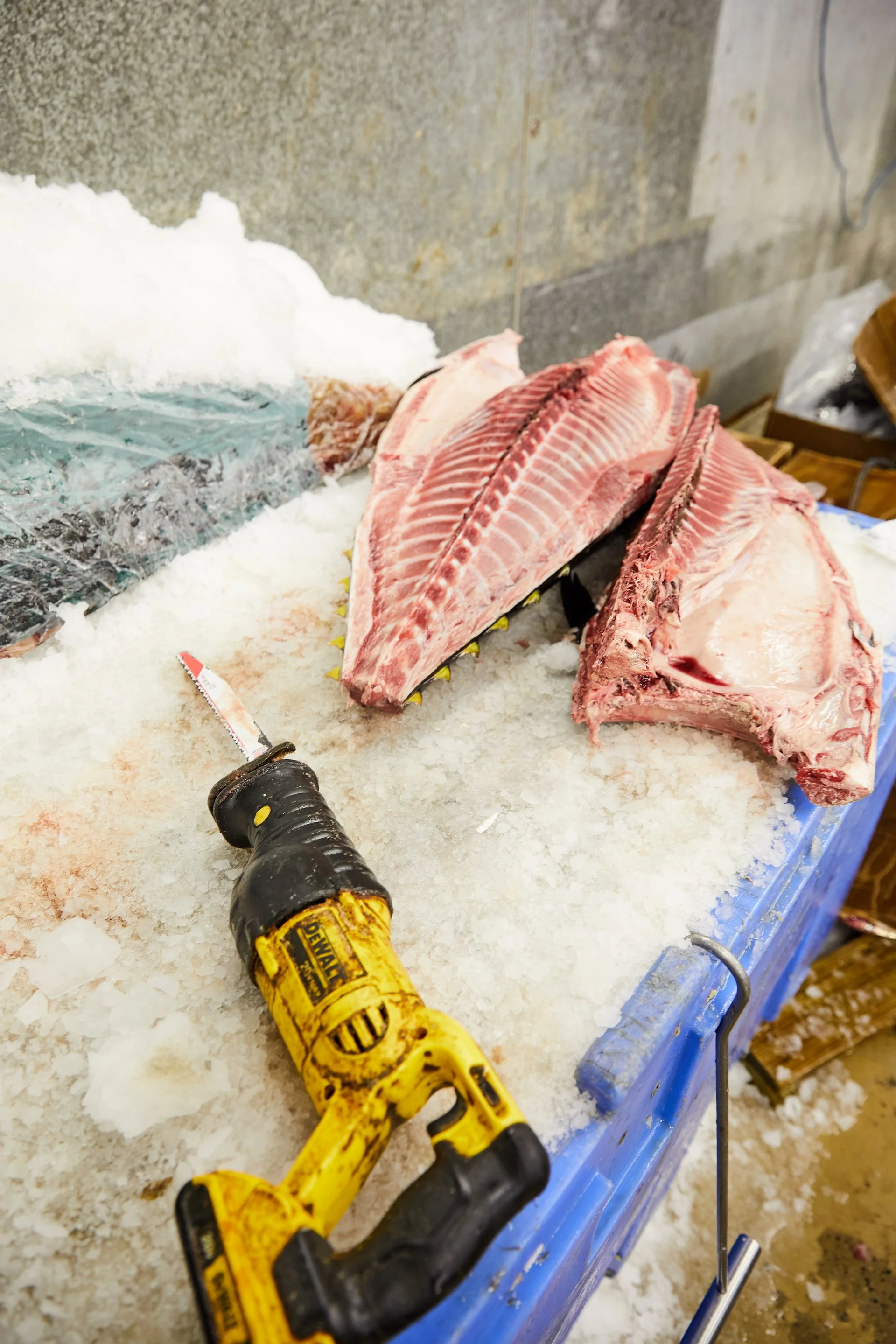 Savour_YamaSeafood_015.jpg