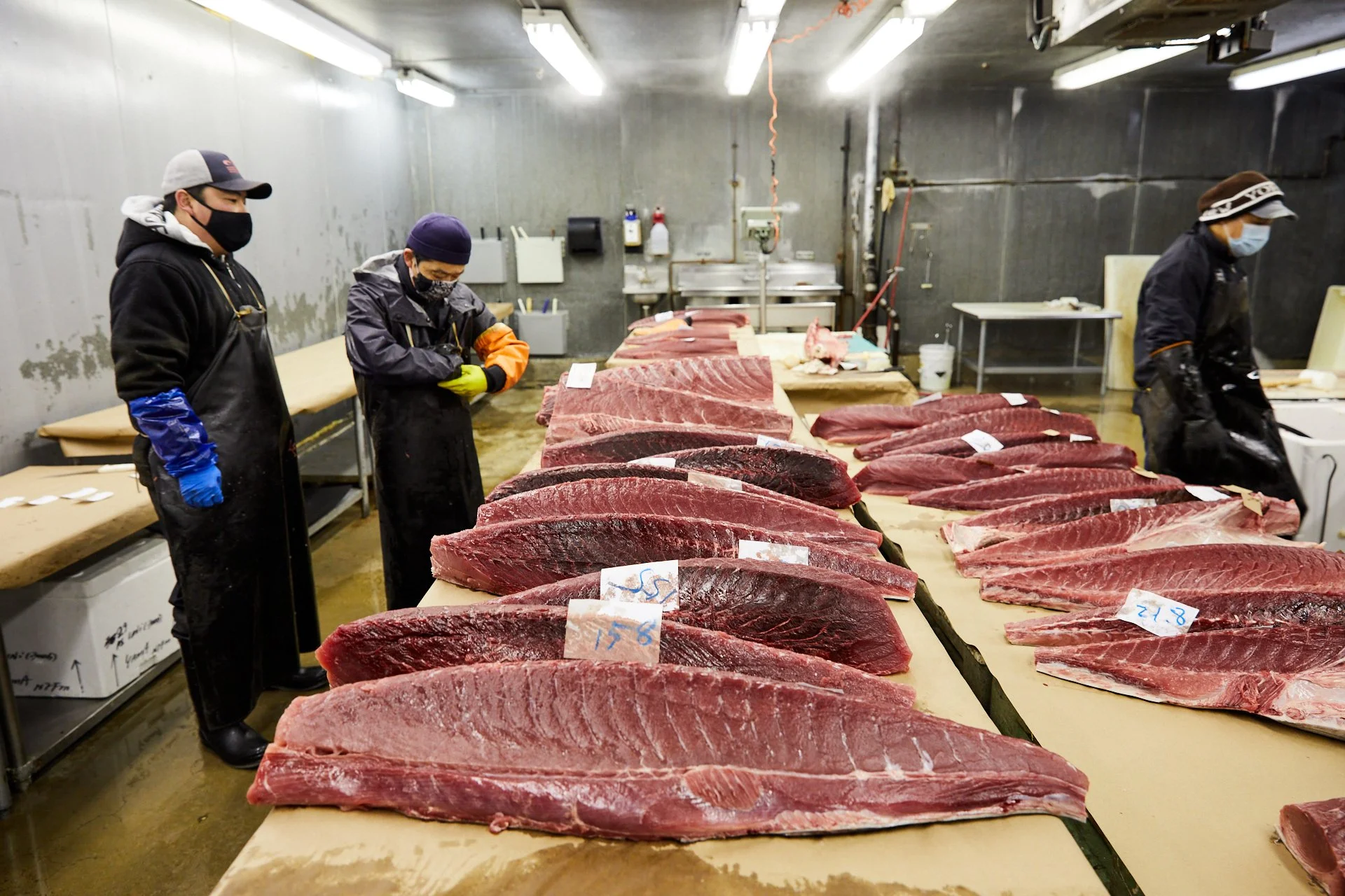 Savour_YamaSeafood_001.jpg