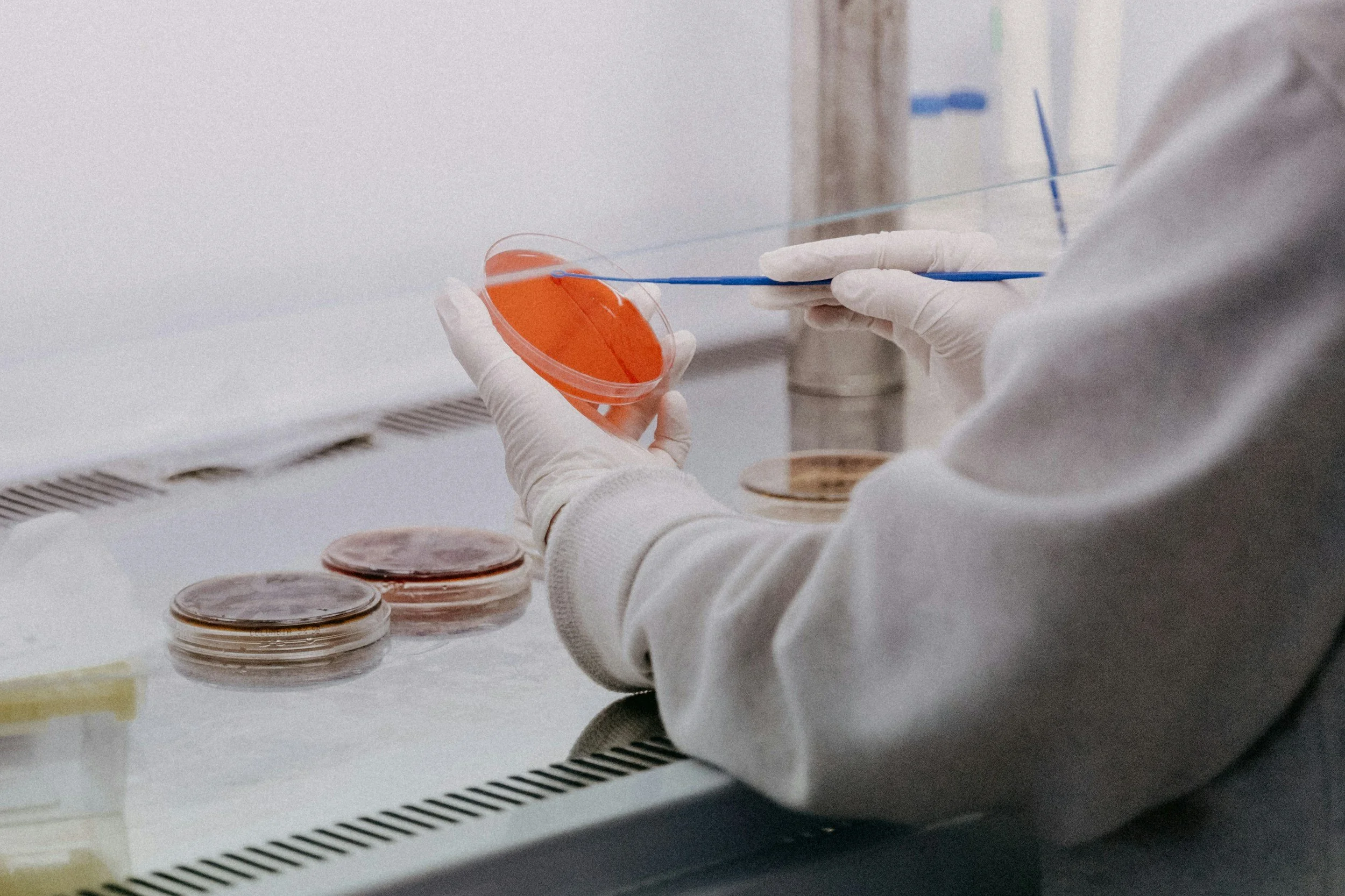 Hidden in Plain Sight: Bioengineered Ingredients in Everyday Foods