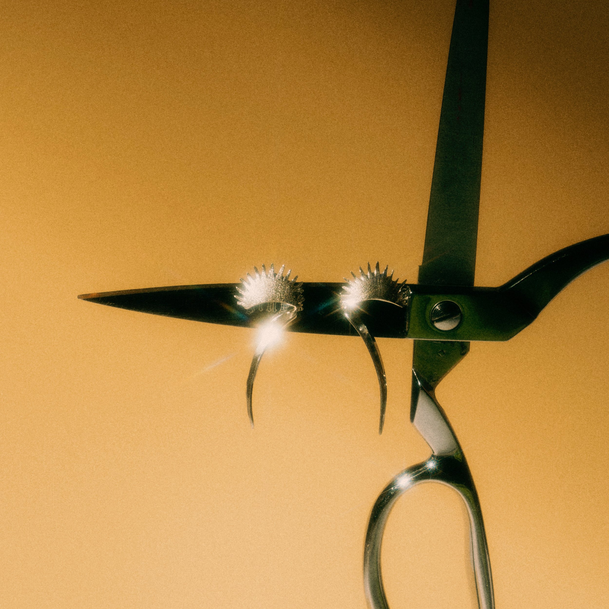 07_Eli_VenusFlyTrap_Earrings.jpeg