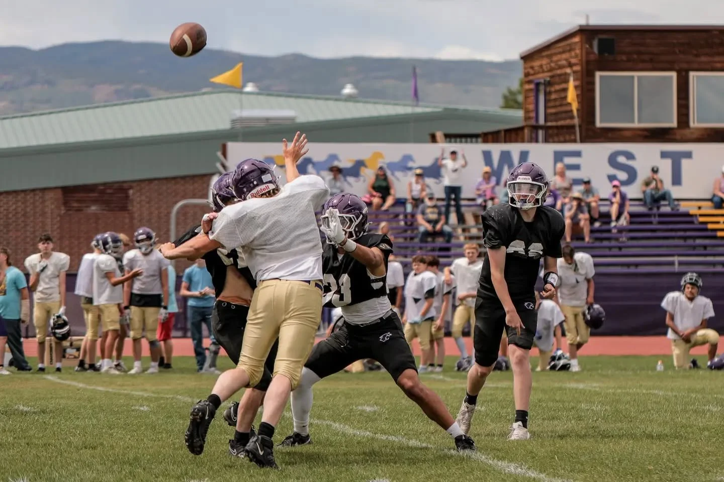 A jamboree-style scrimmage for the HS Bobcats today! Some great 8-man prep for the season-opener at Clear Creek on Thursday! AND, a Moose in RMNP! Go Bobcats! 💜🏈