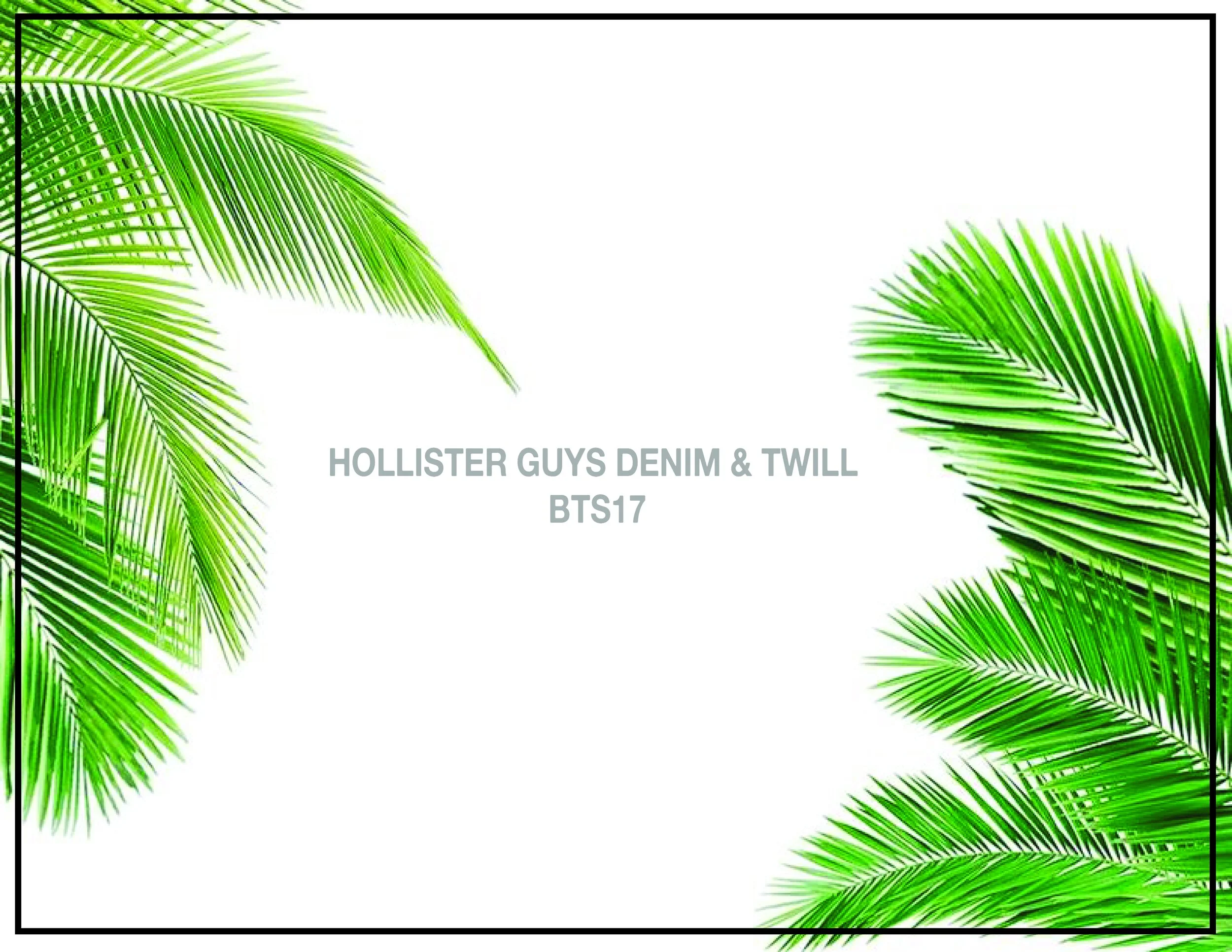 HOLLISTER GUY'S BTS17