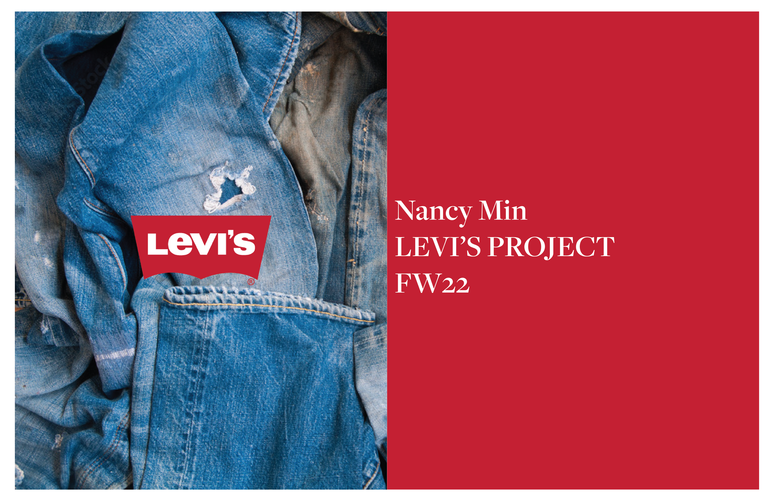 LEVIS DENIM PROJECT