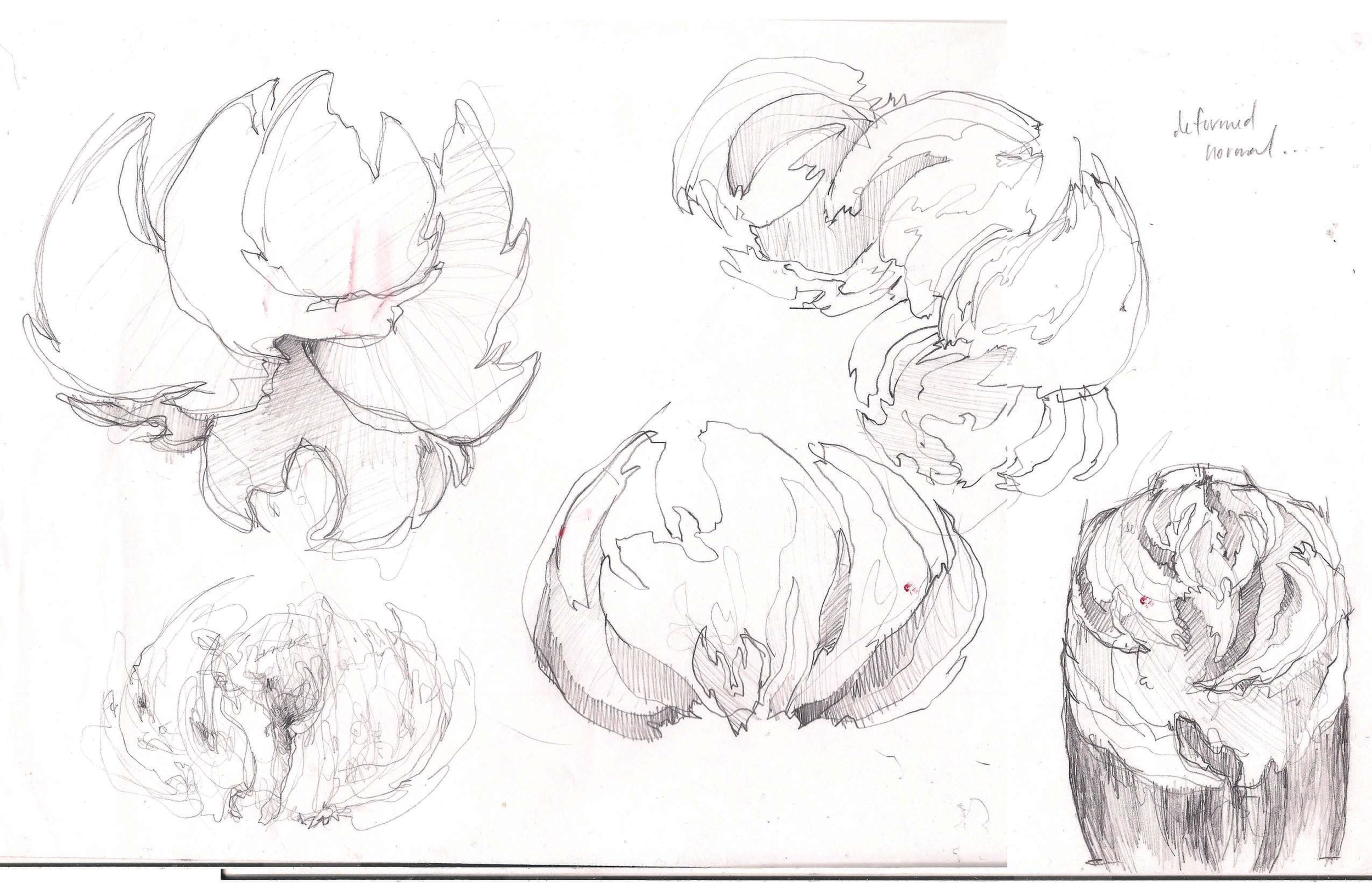 NMIN-PORTFOLIO. 9.png