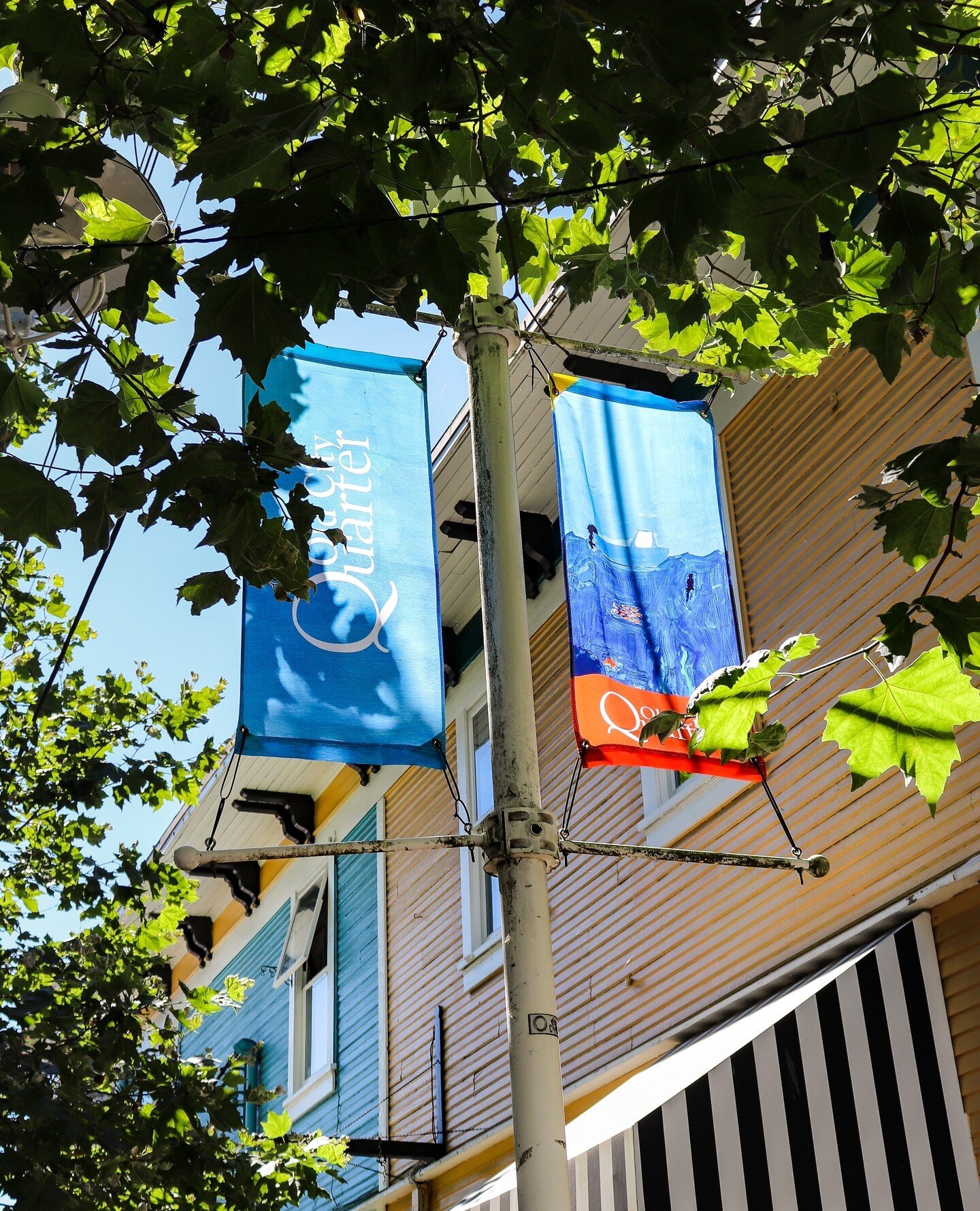 Have you spotted the bright new banners on Wesley Street yet? Check out the amazing artwork by students at Park Avenue Elementary 🎨