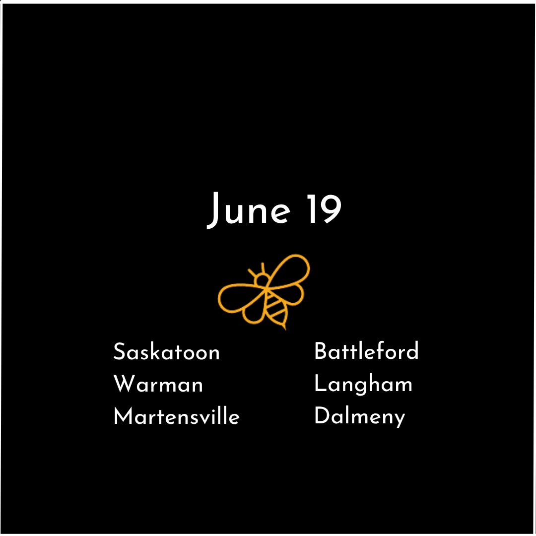 Saskatoon 3.png