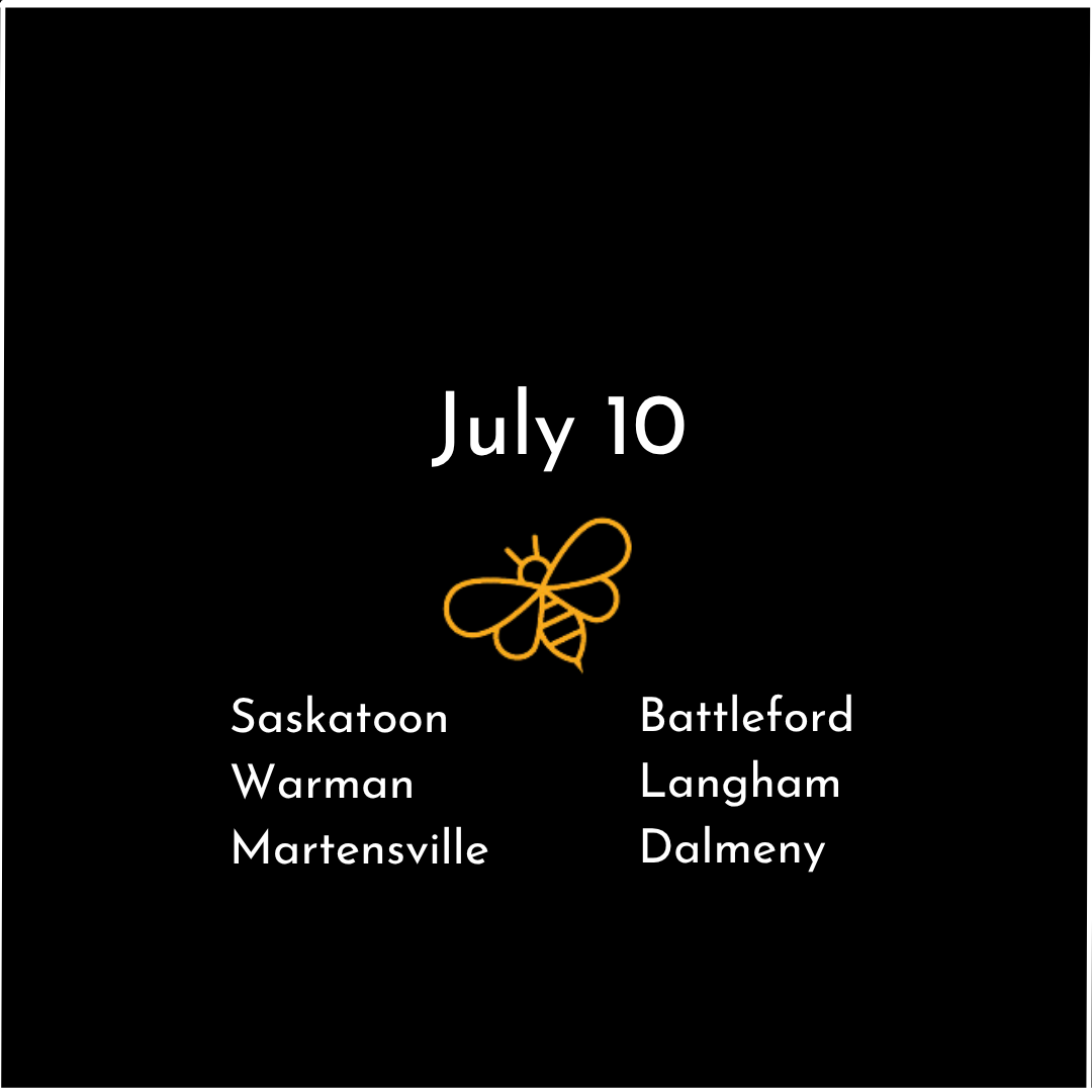 Saskatoon 1.png
