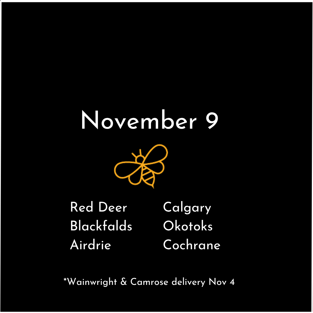 calgary 1.png
