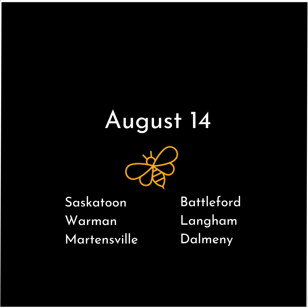 Saskatoon 2.png