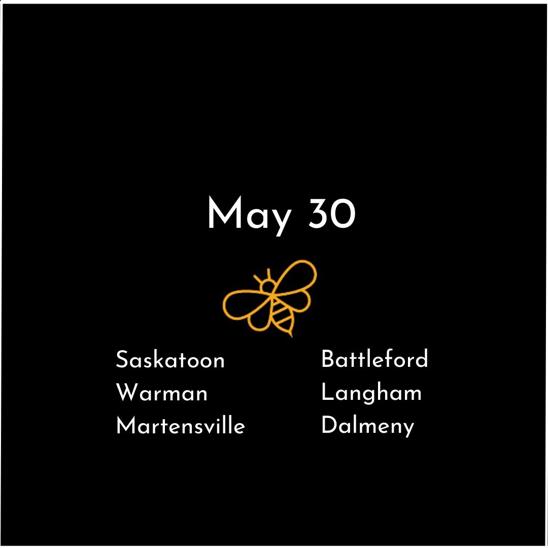 saskatoon 5.png