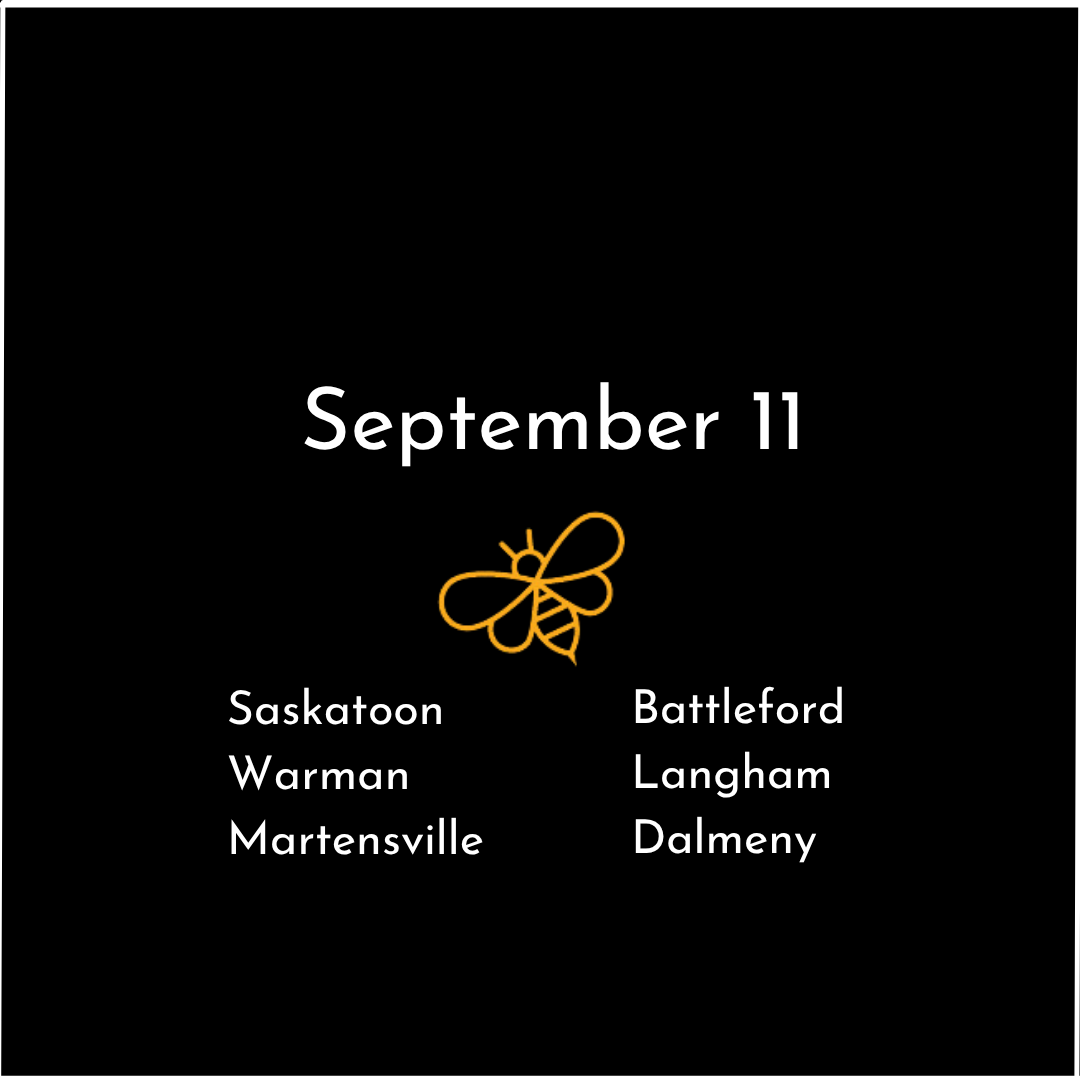 Saskatoon 2.png