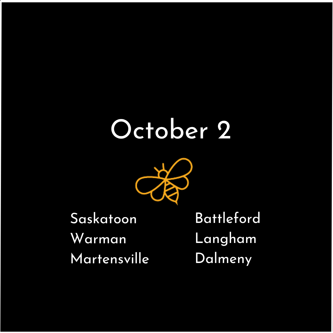 Saskatoon 1.png