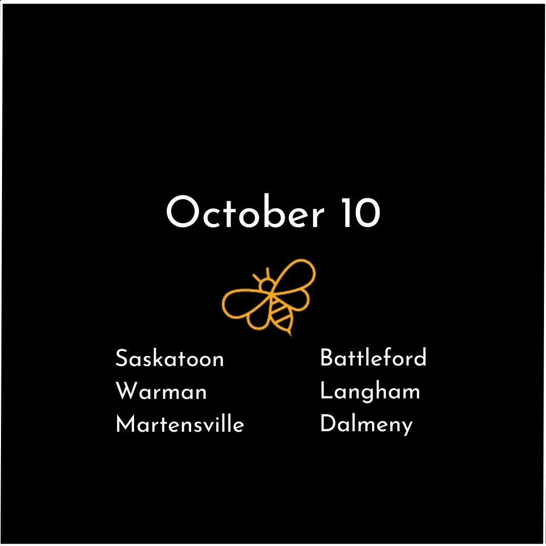 Saskatoon 2.png
