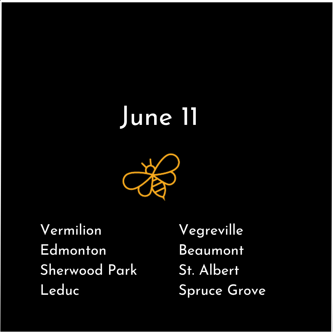 Edmonton 2.png