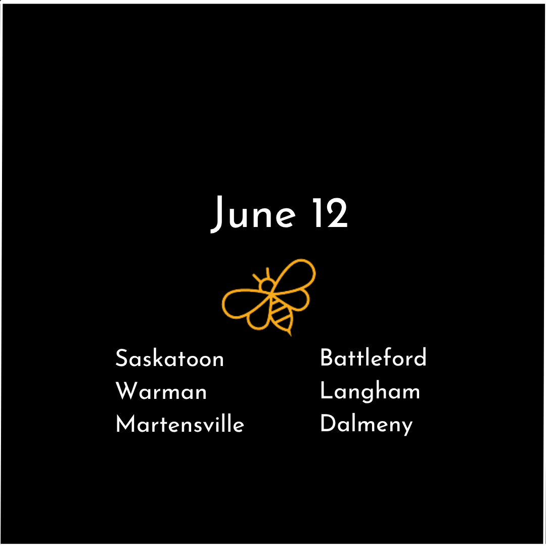 Saskatoon 2.png