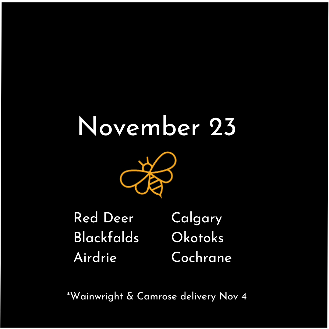 calgary 2.png