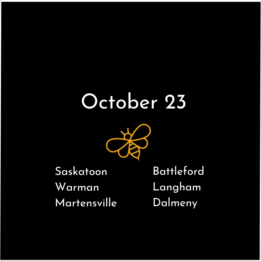 Saskatoon 4.png