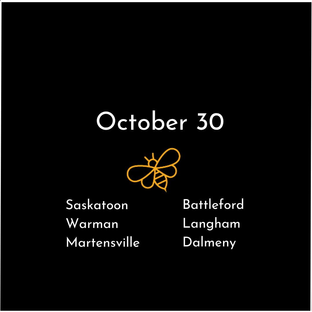 Saskatoon 5.png