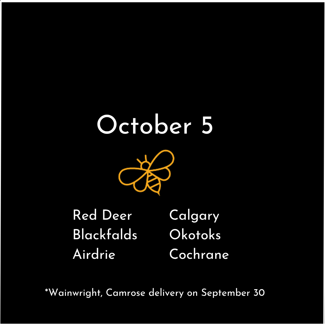 Calgary 1.png