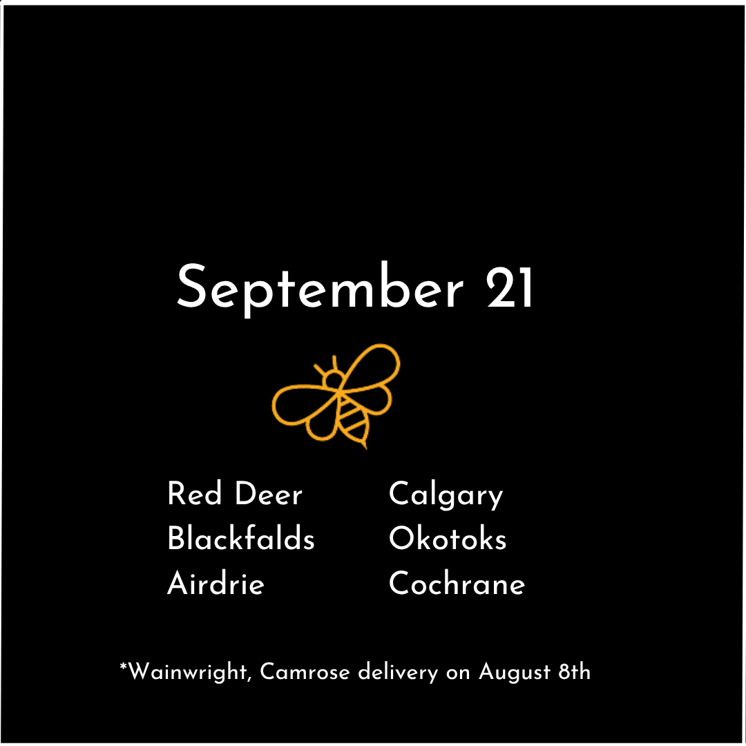 Calgary 2.png