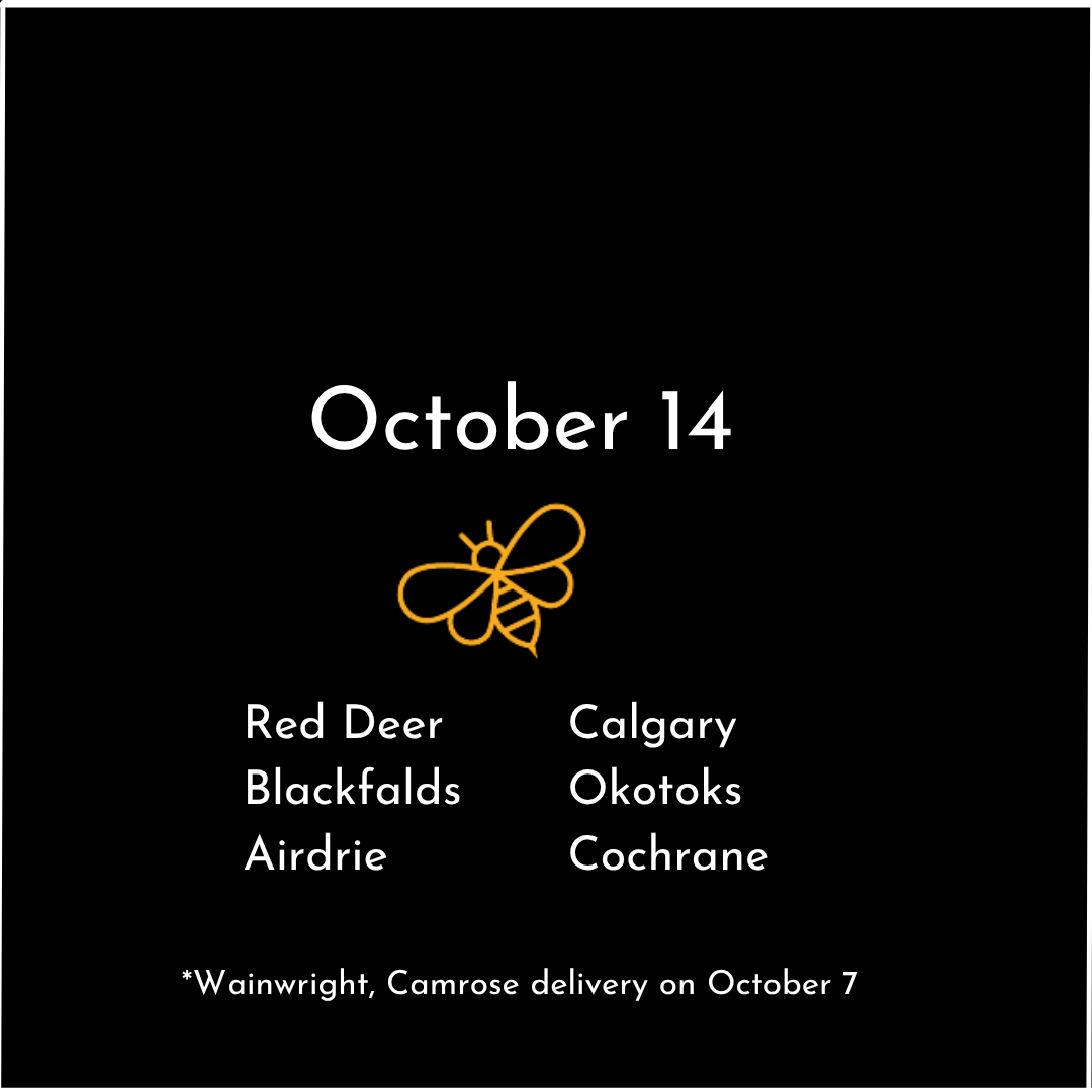 Calgary 3.png