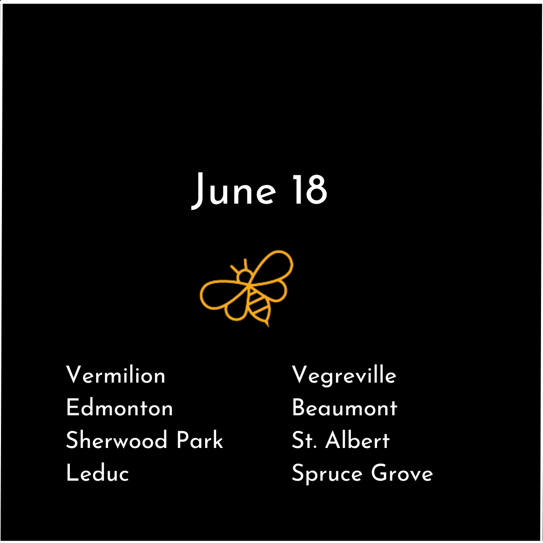 Edmonton 3.png