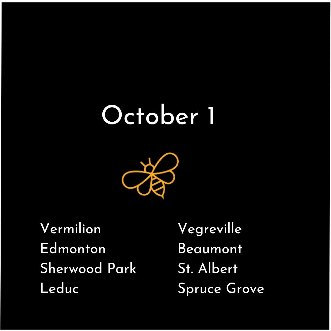 Edmonton 1.jpg