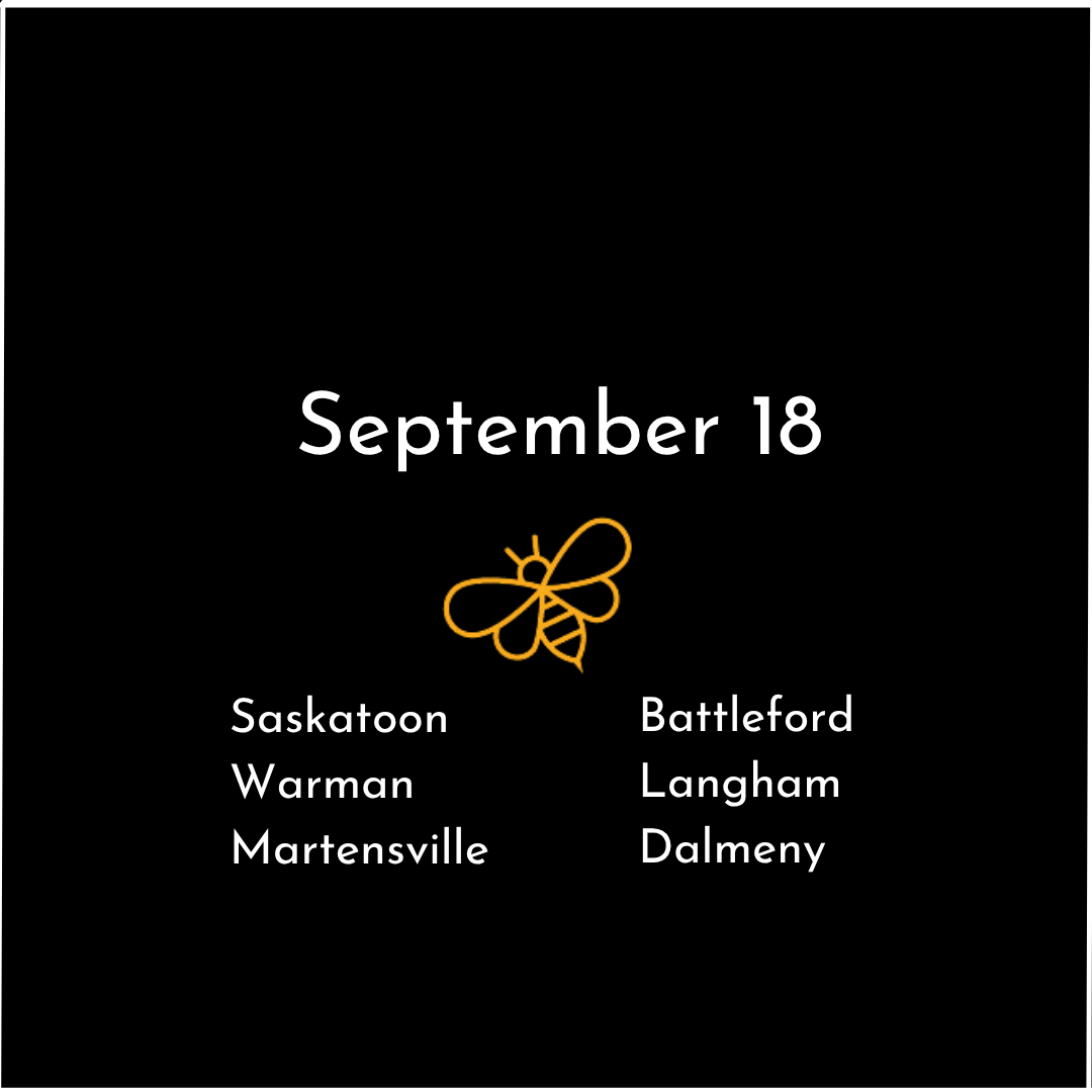 Saskatoon 3.png