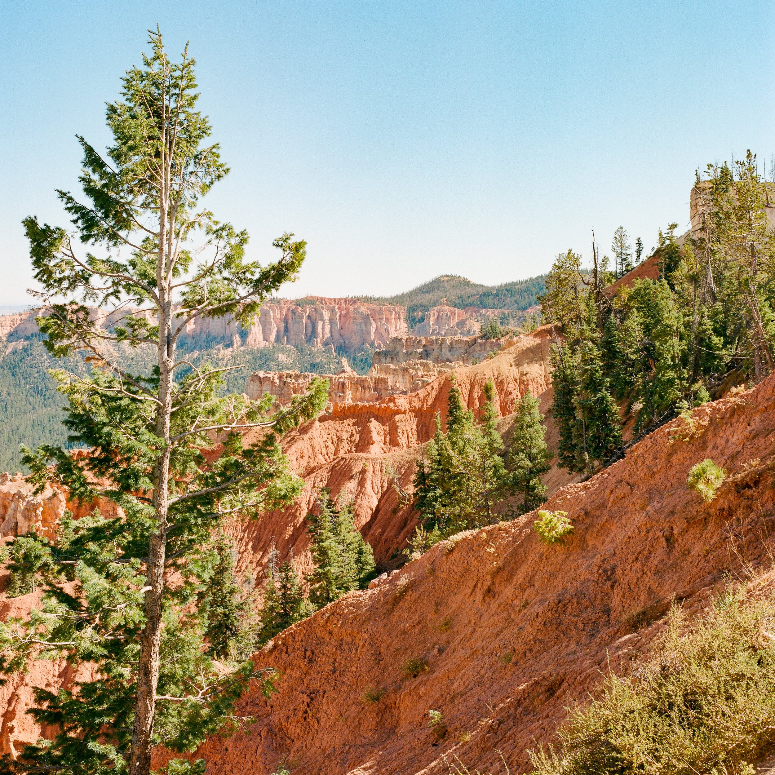 bryce-canyon-6.jpg