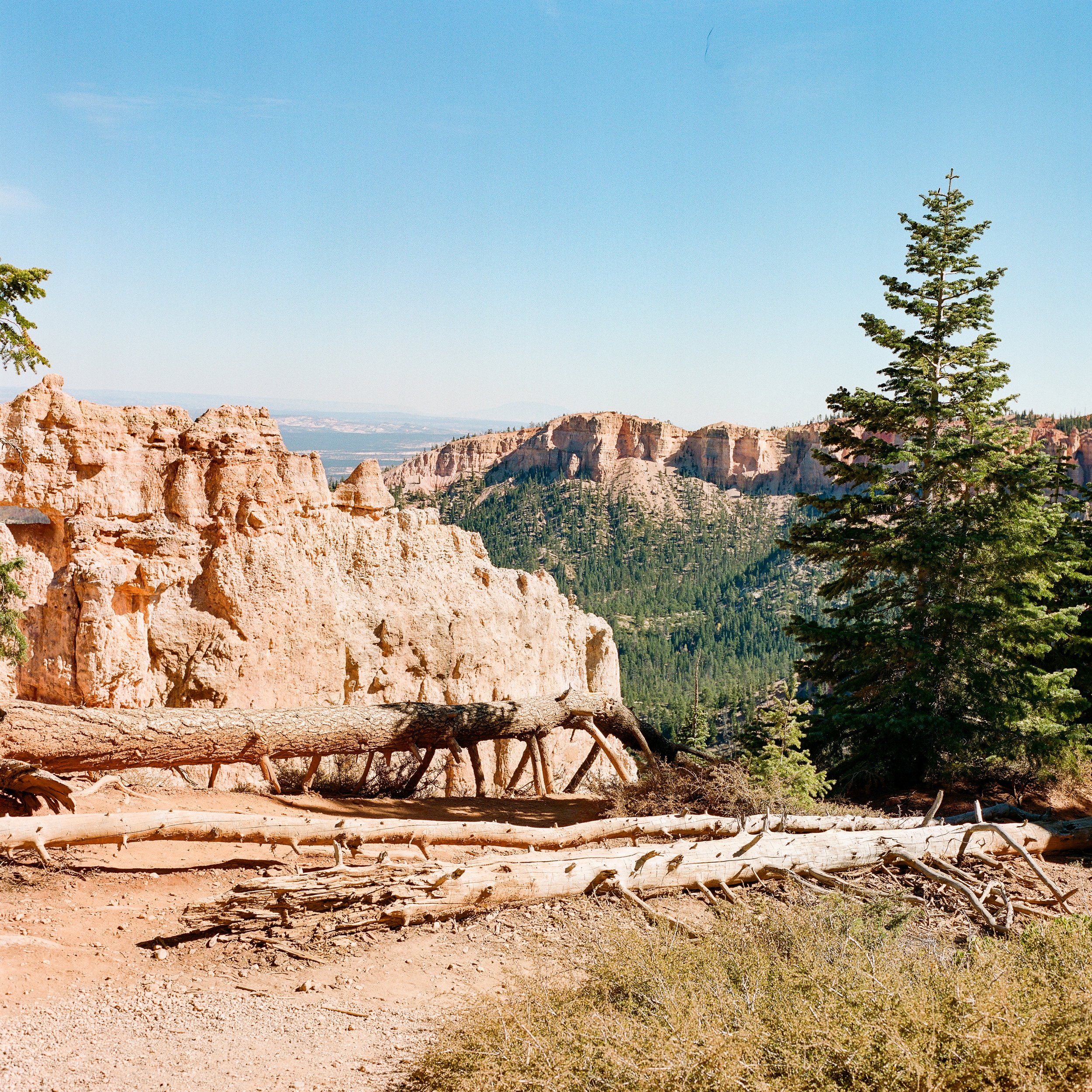 bryce-canyon-5.jpg