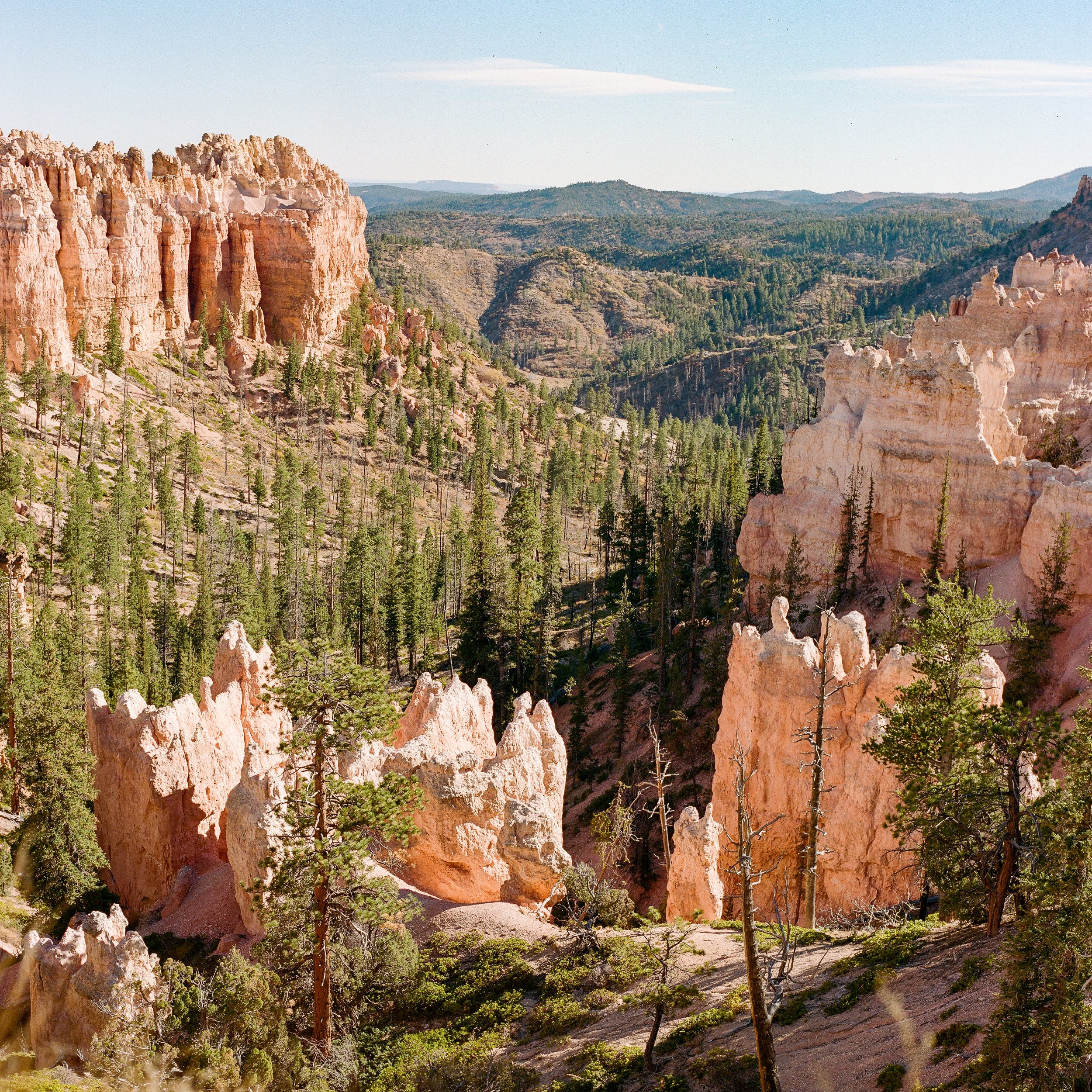 bryce-canyon-10.jpg