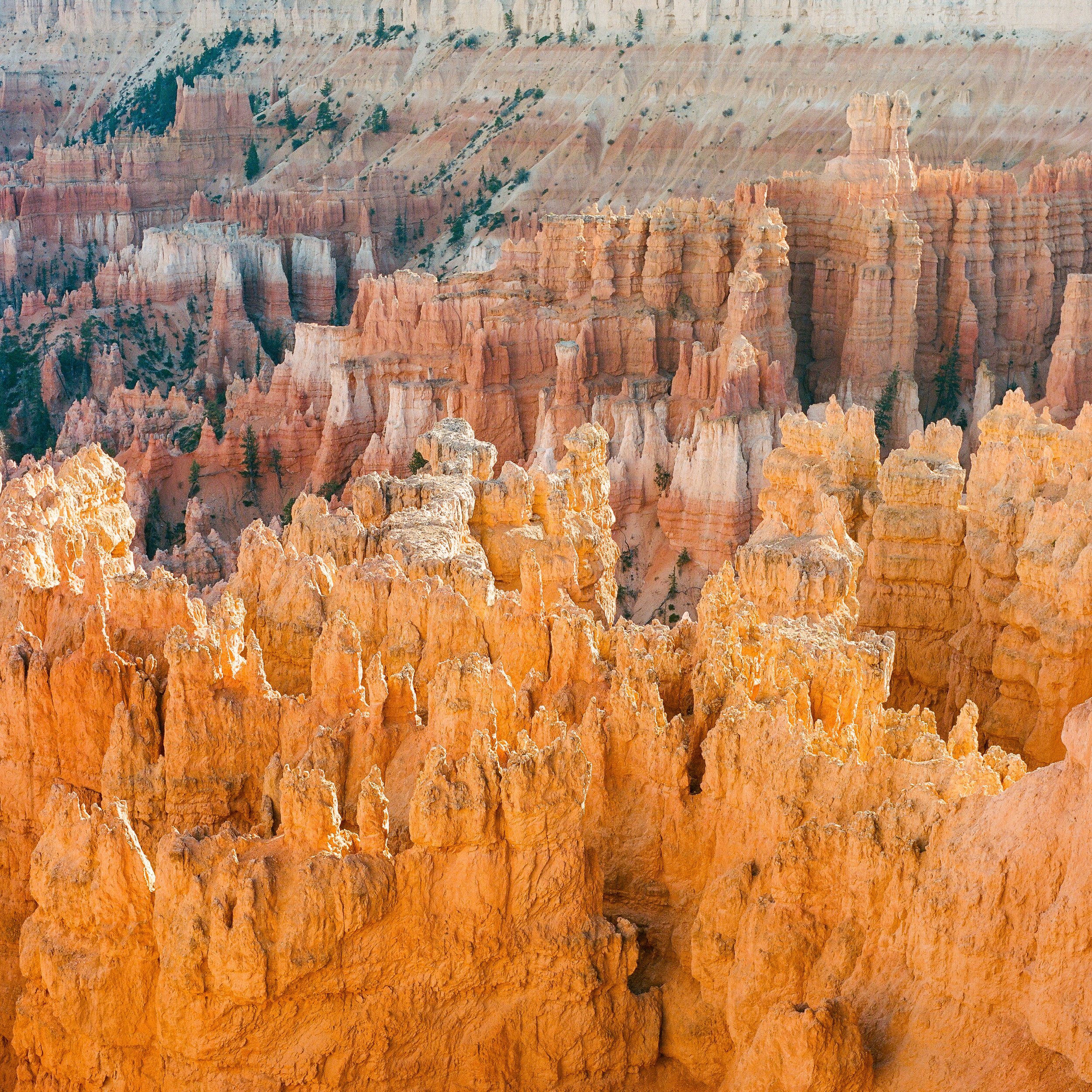 bryce-canyon-13.jpg