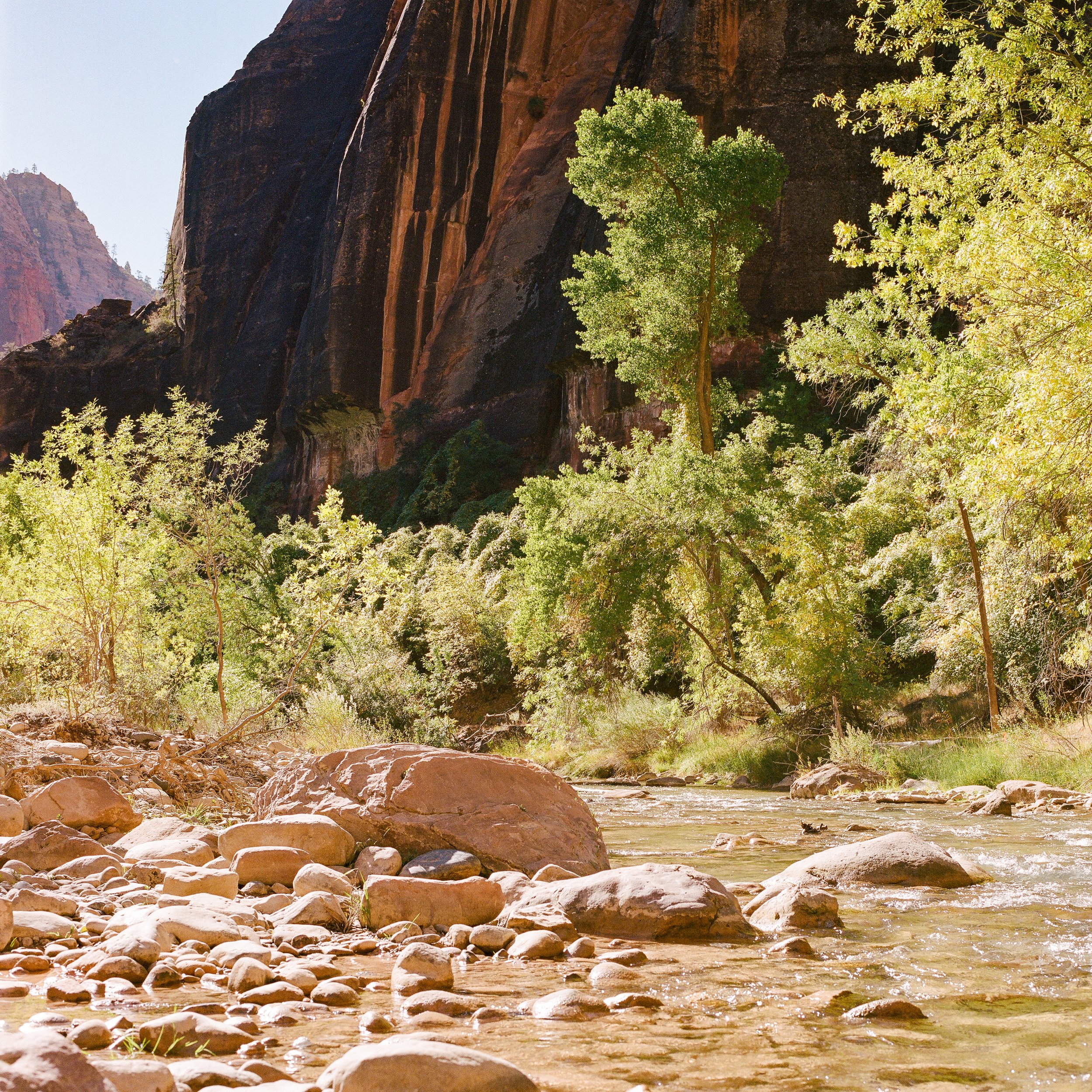 zion-1.jpg