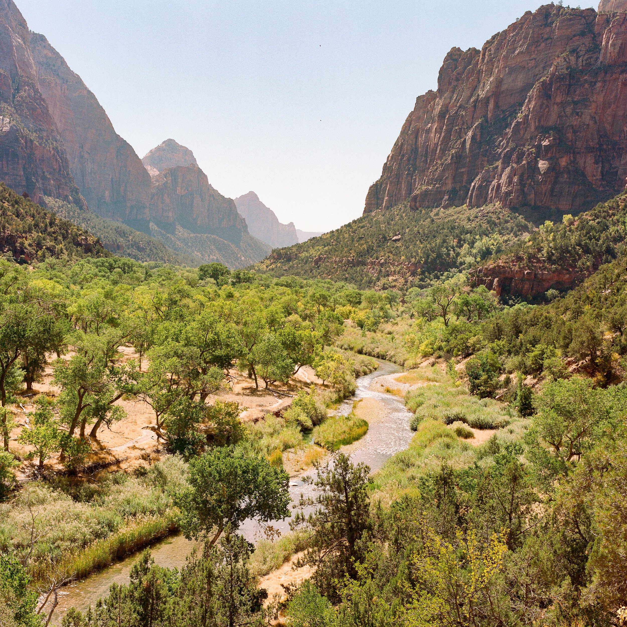 zion-3.jpg