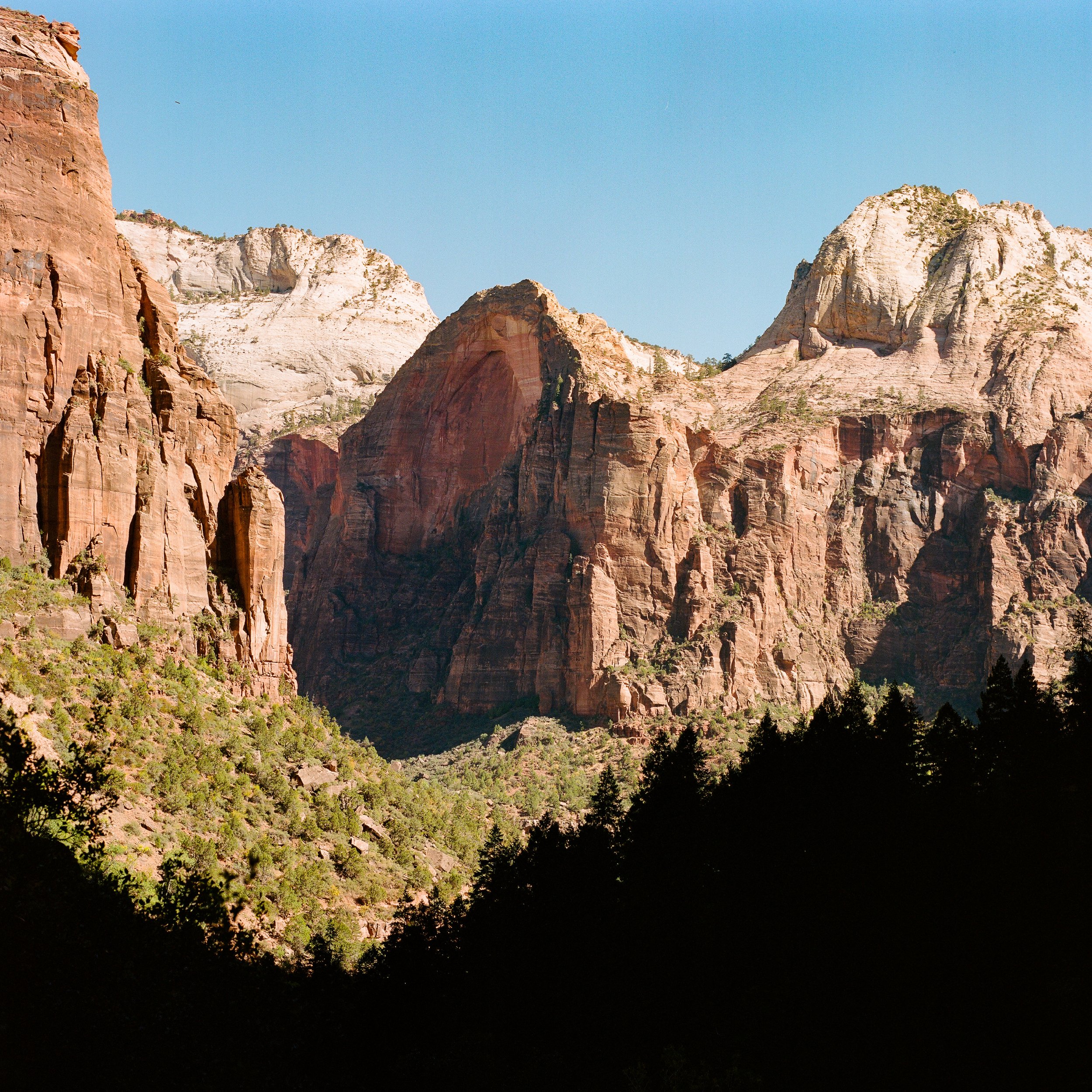 zion-6.jpg