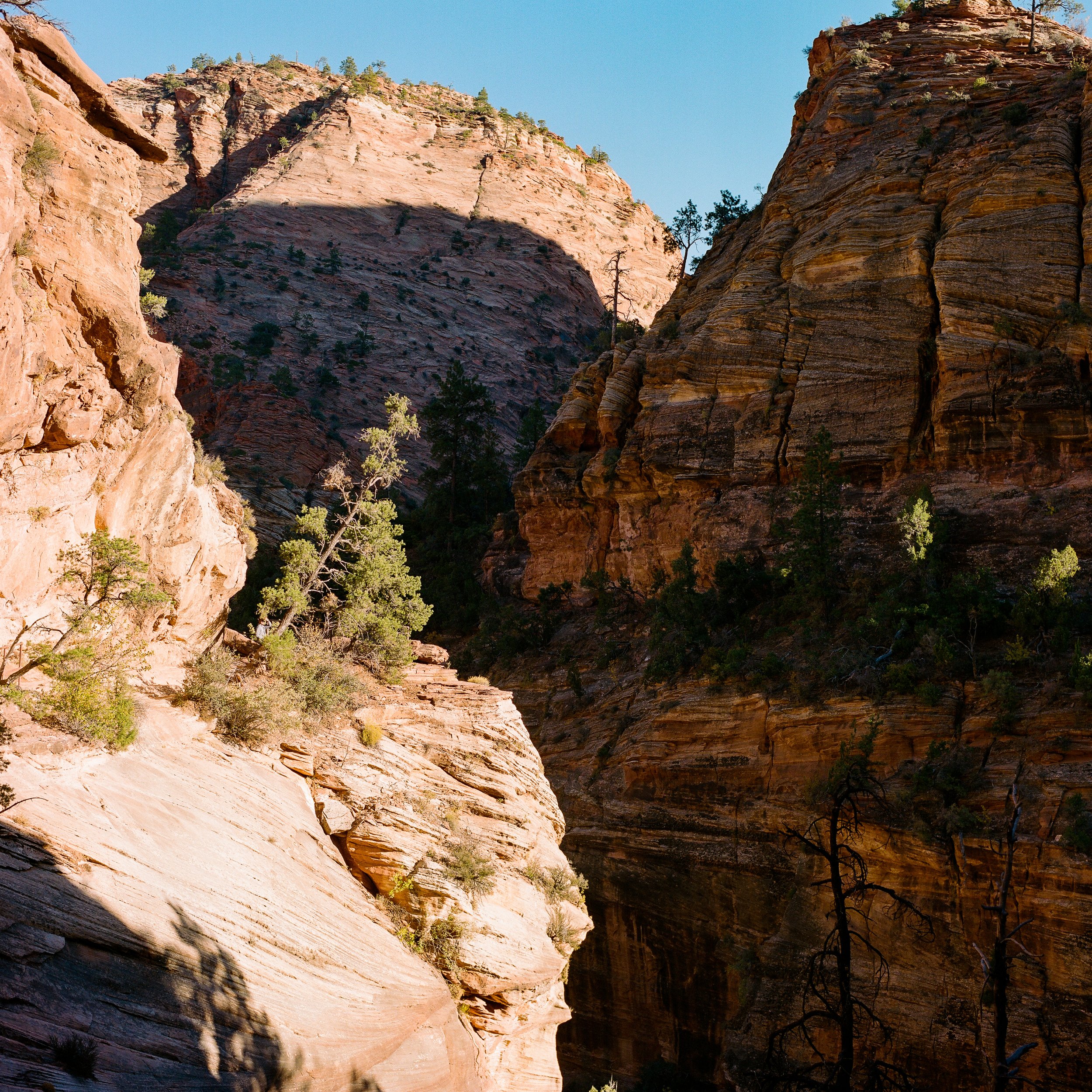 zion-8.jpg