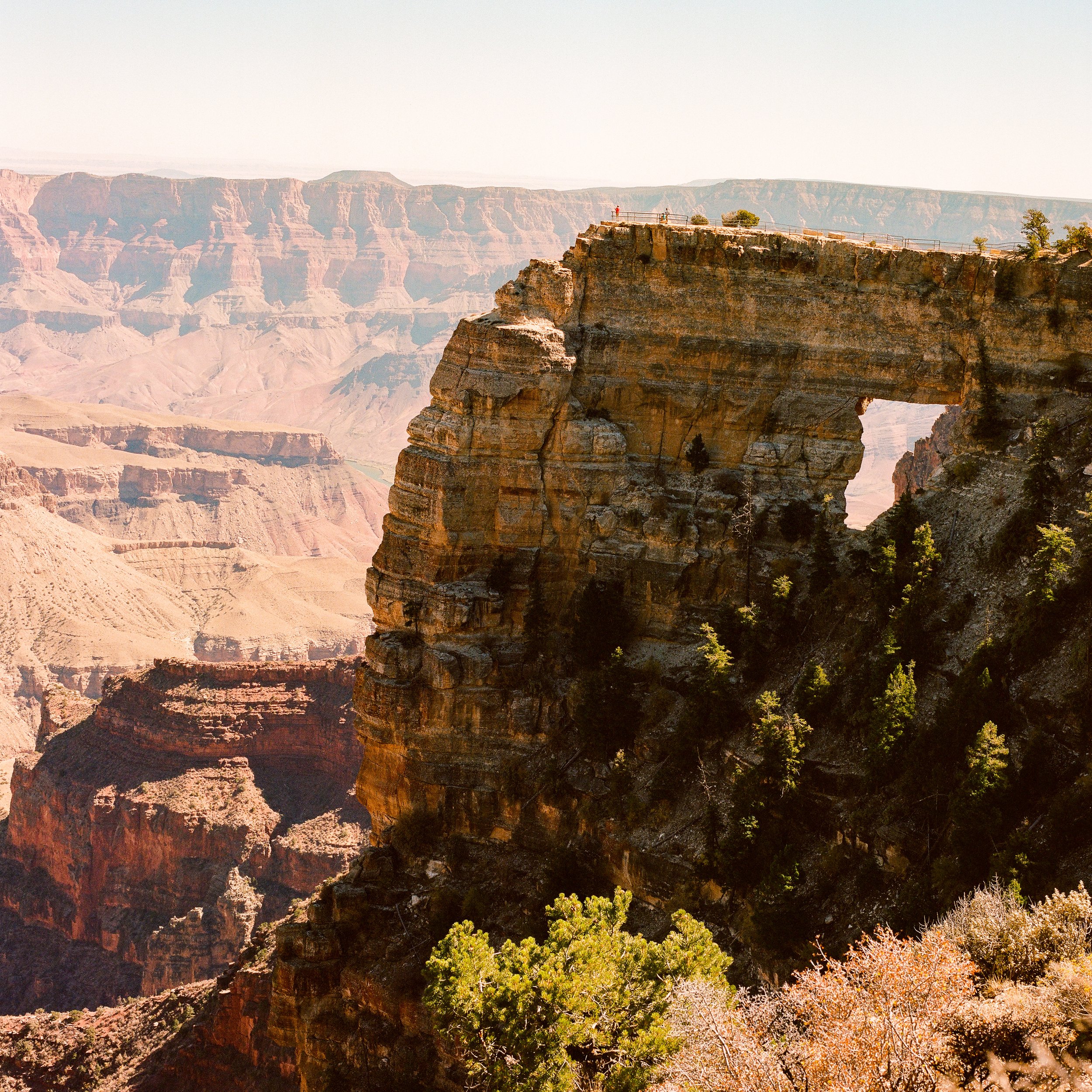 grand-canyon-6.jpg