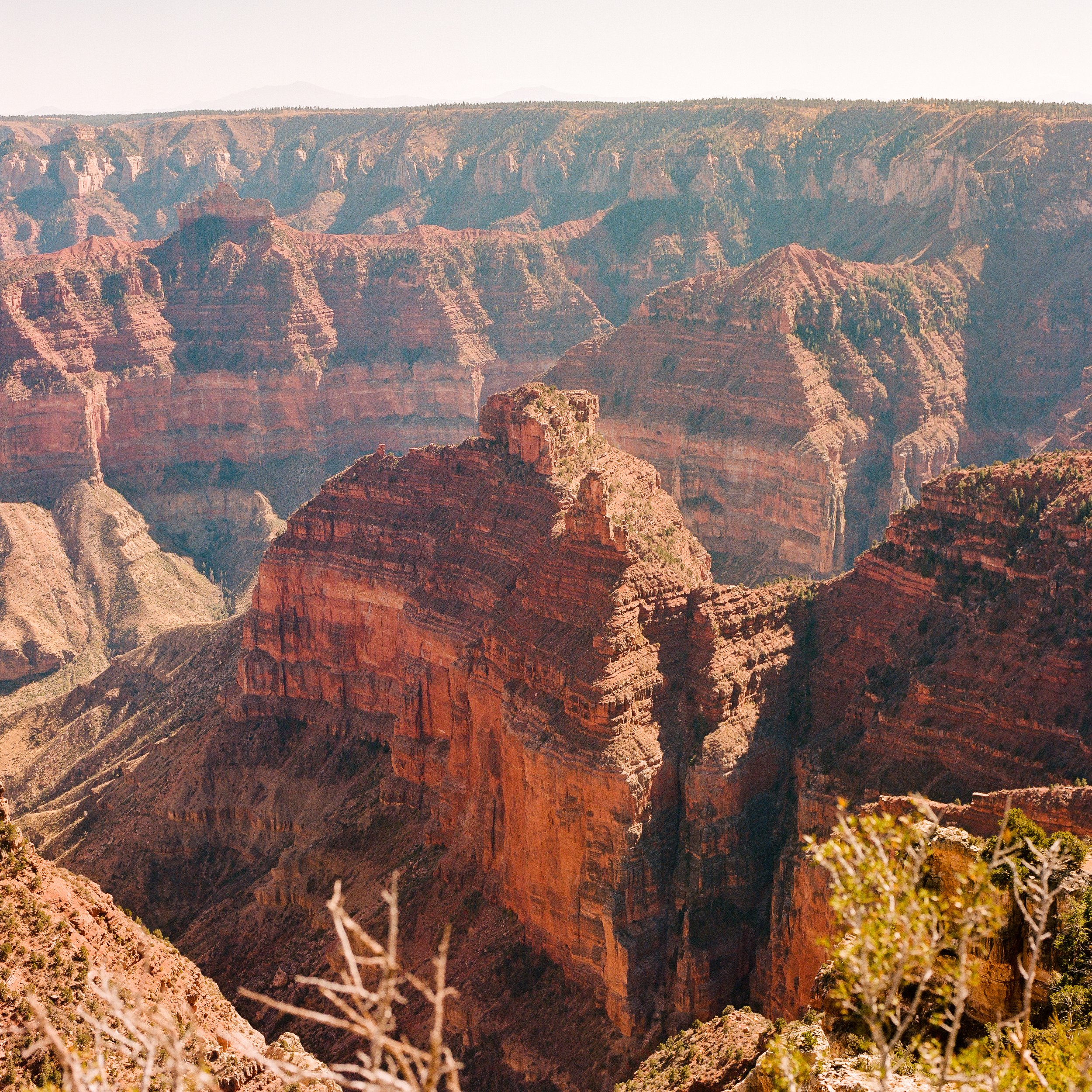 grand-canyon-10.jpg