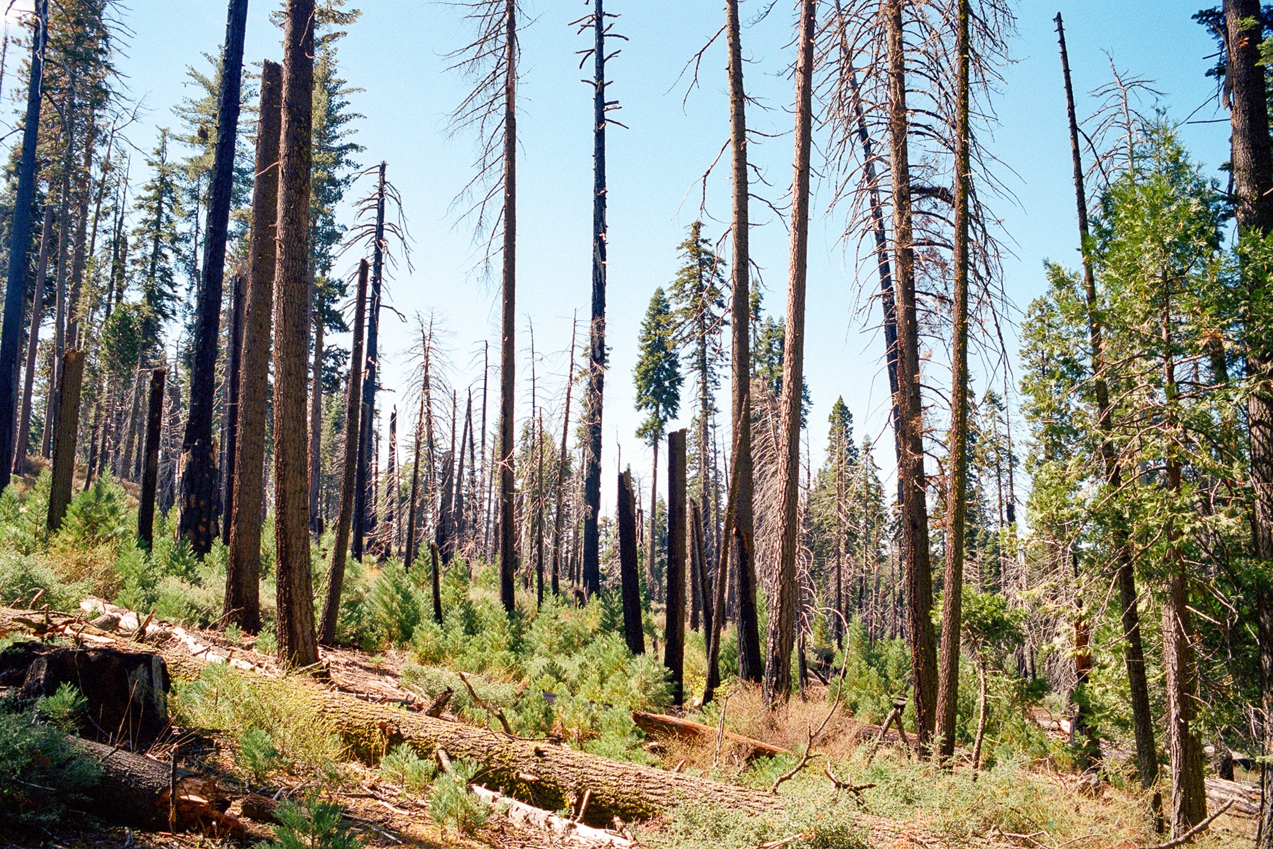 yosemite-20.jpg