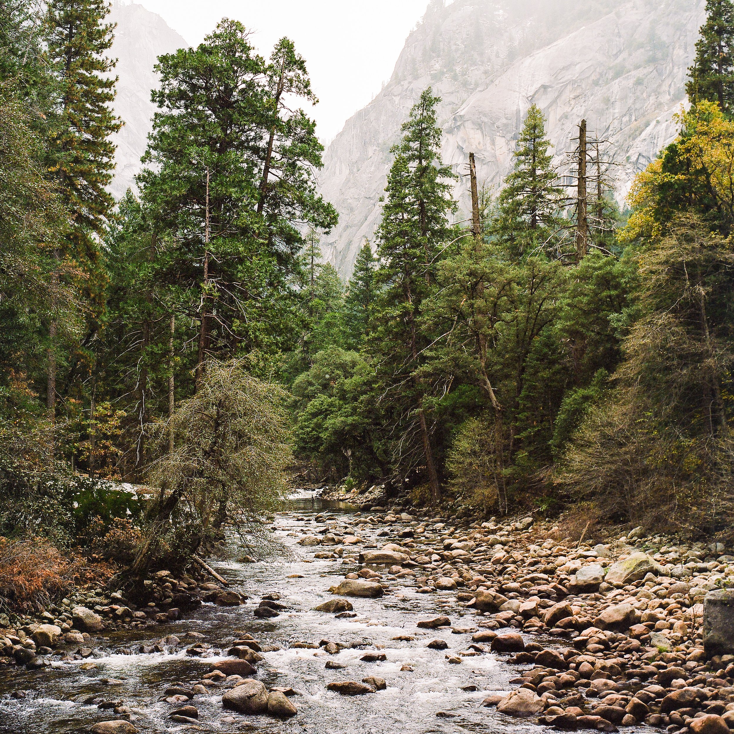 yosemite-14.jpg