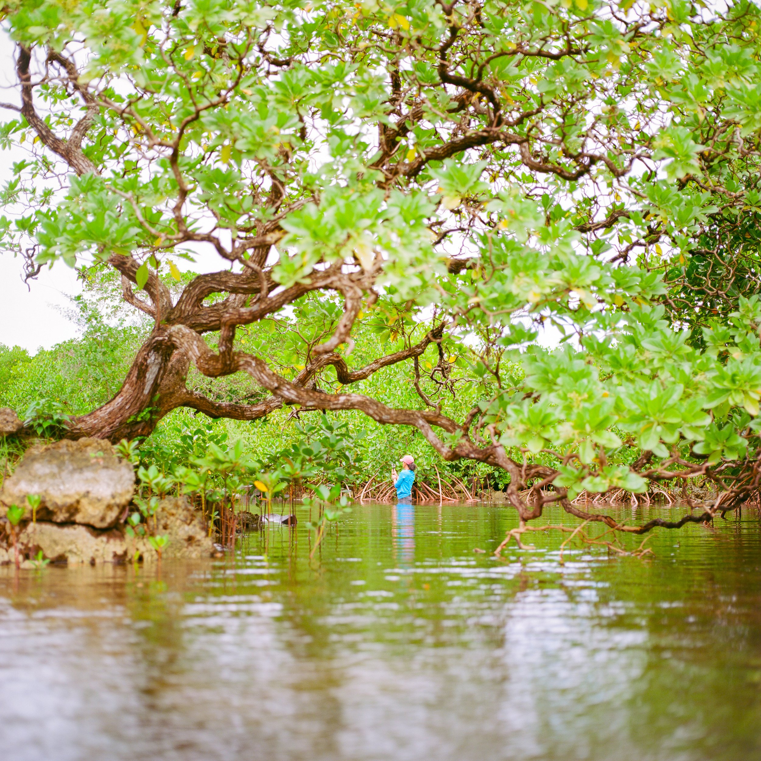 micronesia-18.jpg