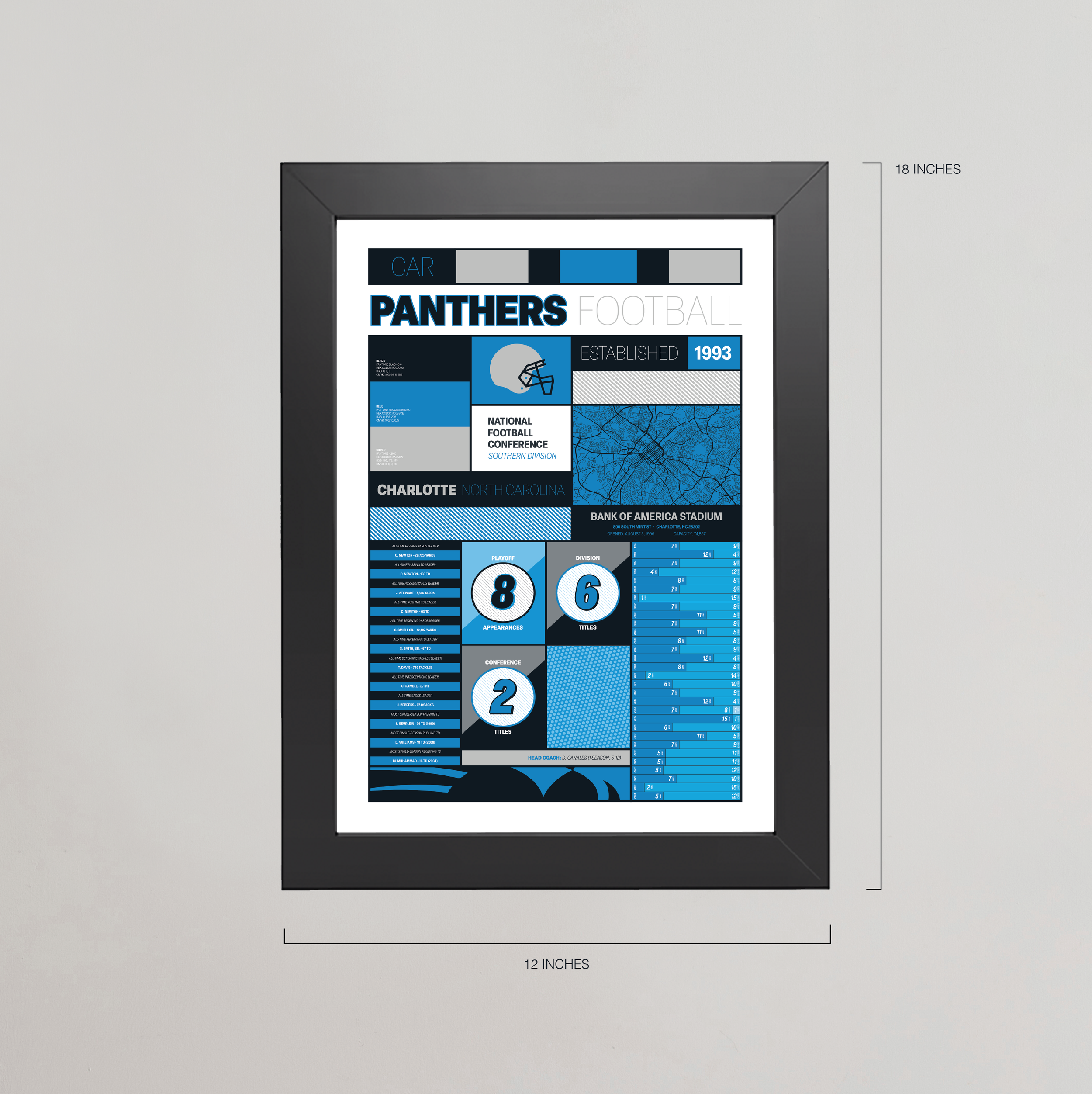 PANTHERS_MODERN_ICONOGRAPHY_MOCKUP_BUNDLE_12x18_Measurement.png