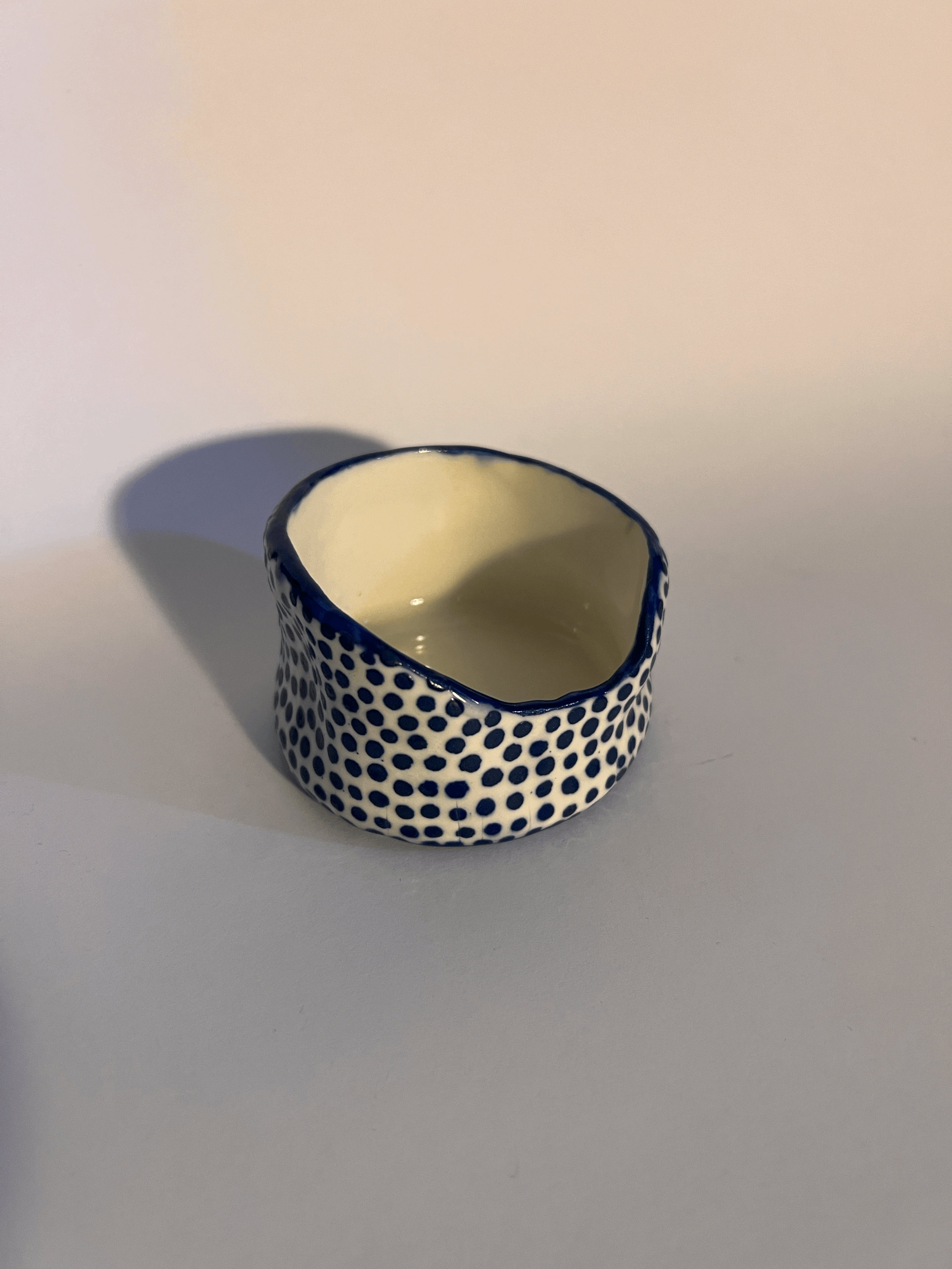 tempImageSEMPvr.gif