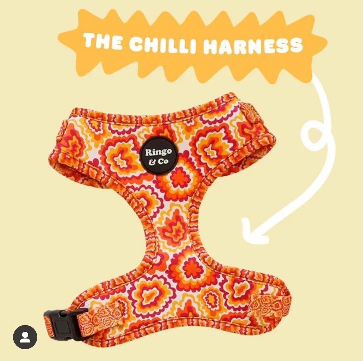 We have a wonderful range of @ringoandco_ products in-store with the Chilli set being the most popular print so far 🧡

If you love this print as much as we do come check out the collar, harness, lead, bandana, bow-tie AND poop bag to make your pup l