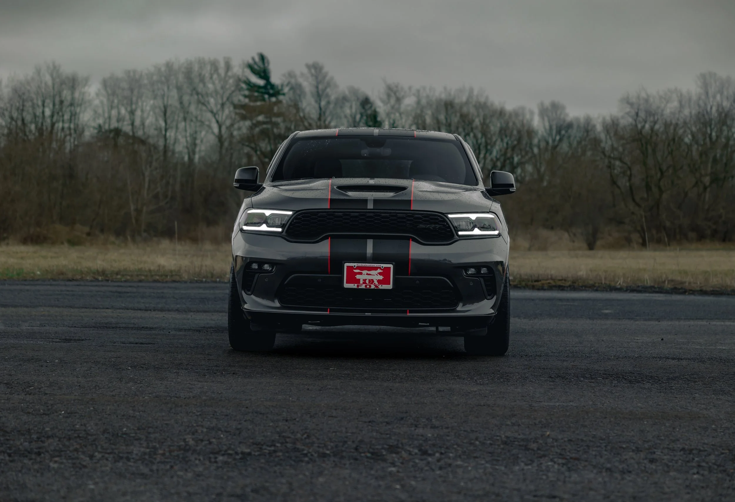 21D392SRT 3.jpg