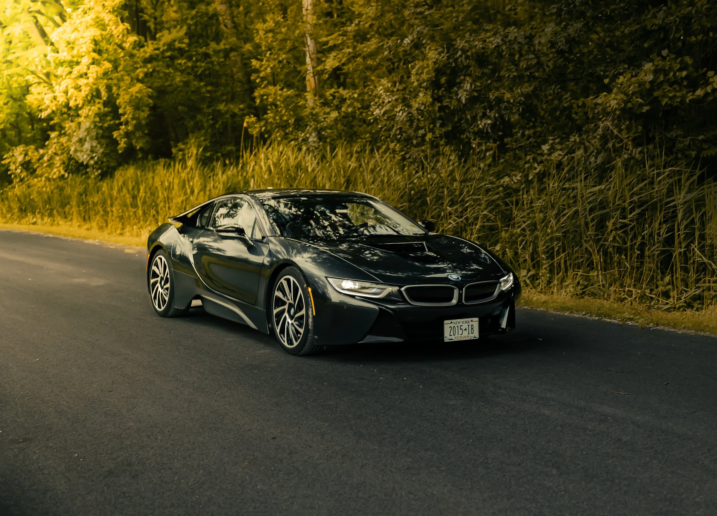 SBMWI8 65.jpg