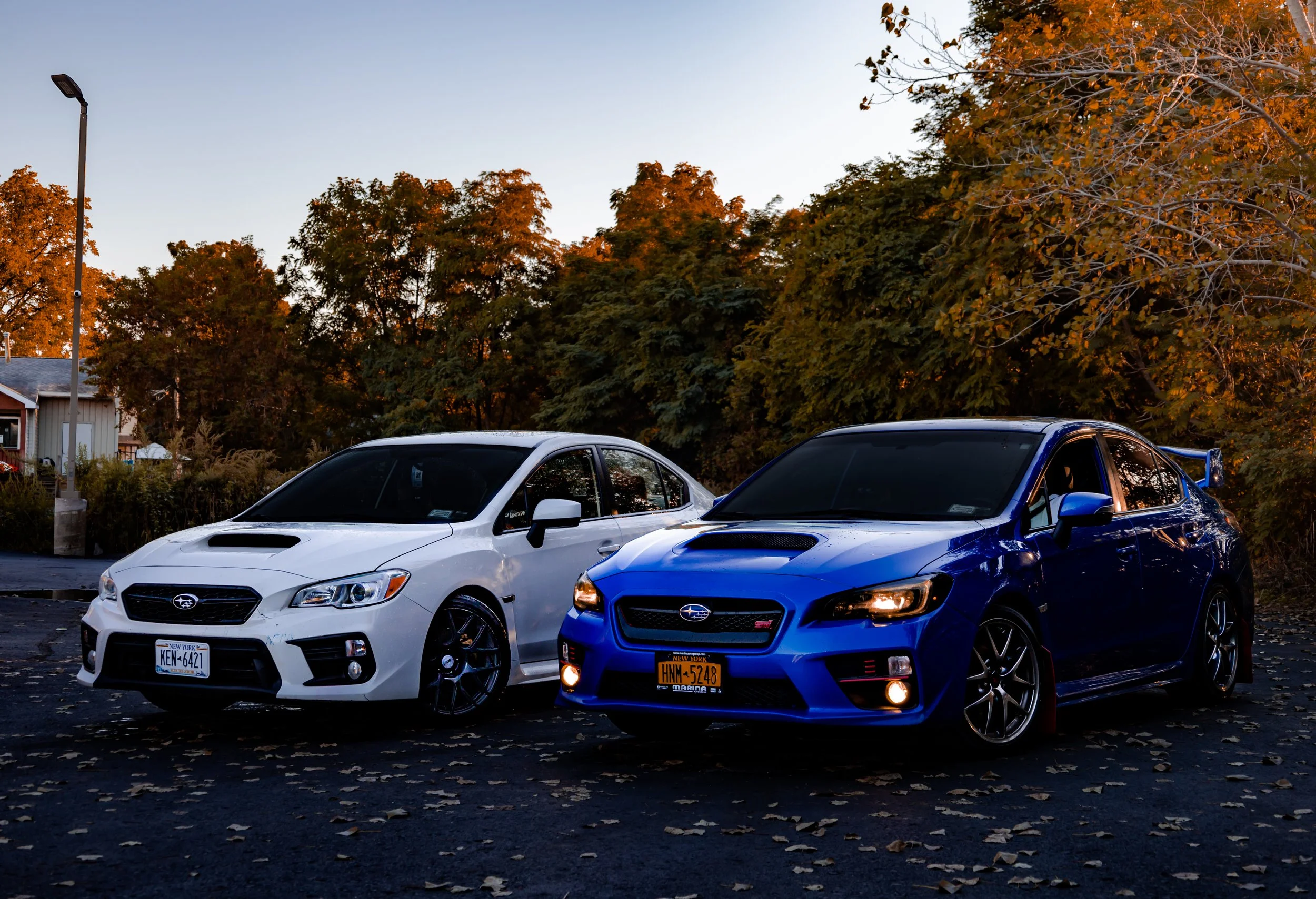 LAWRXS-5.jpg