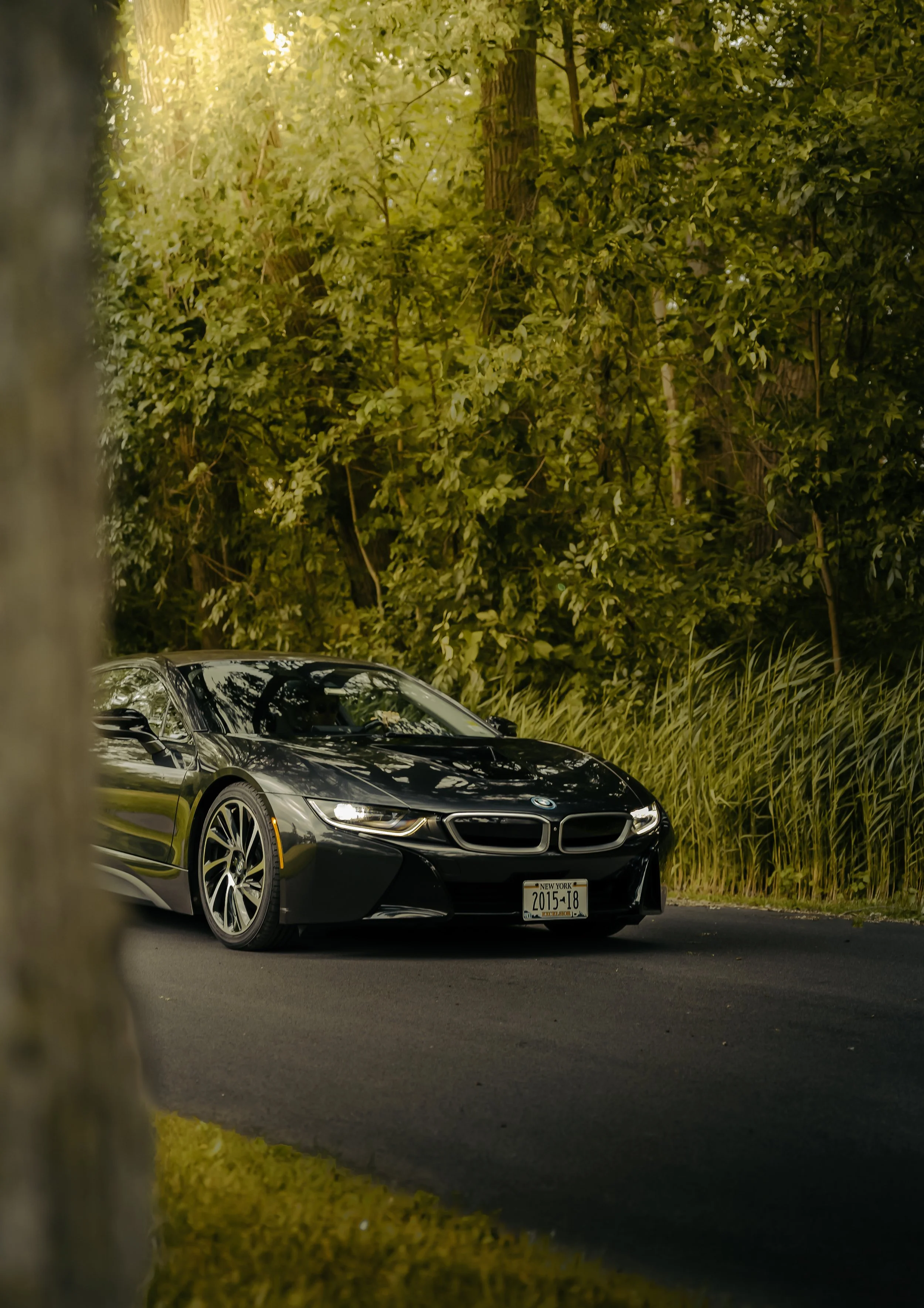 SBMWI8 76.jpg