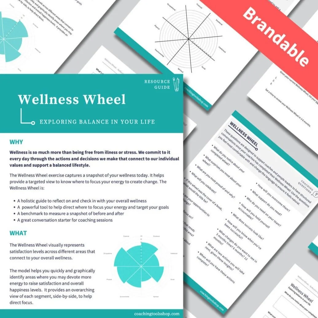 Wellness Wheel Coaching and Assessment PDF — The Coaching Tools Shop